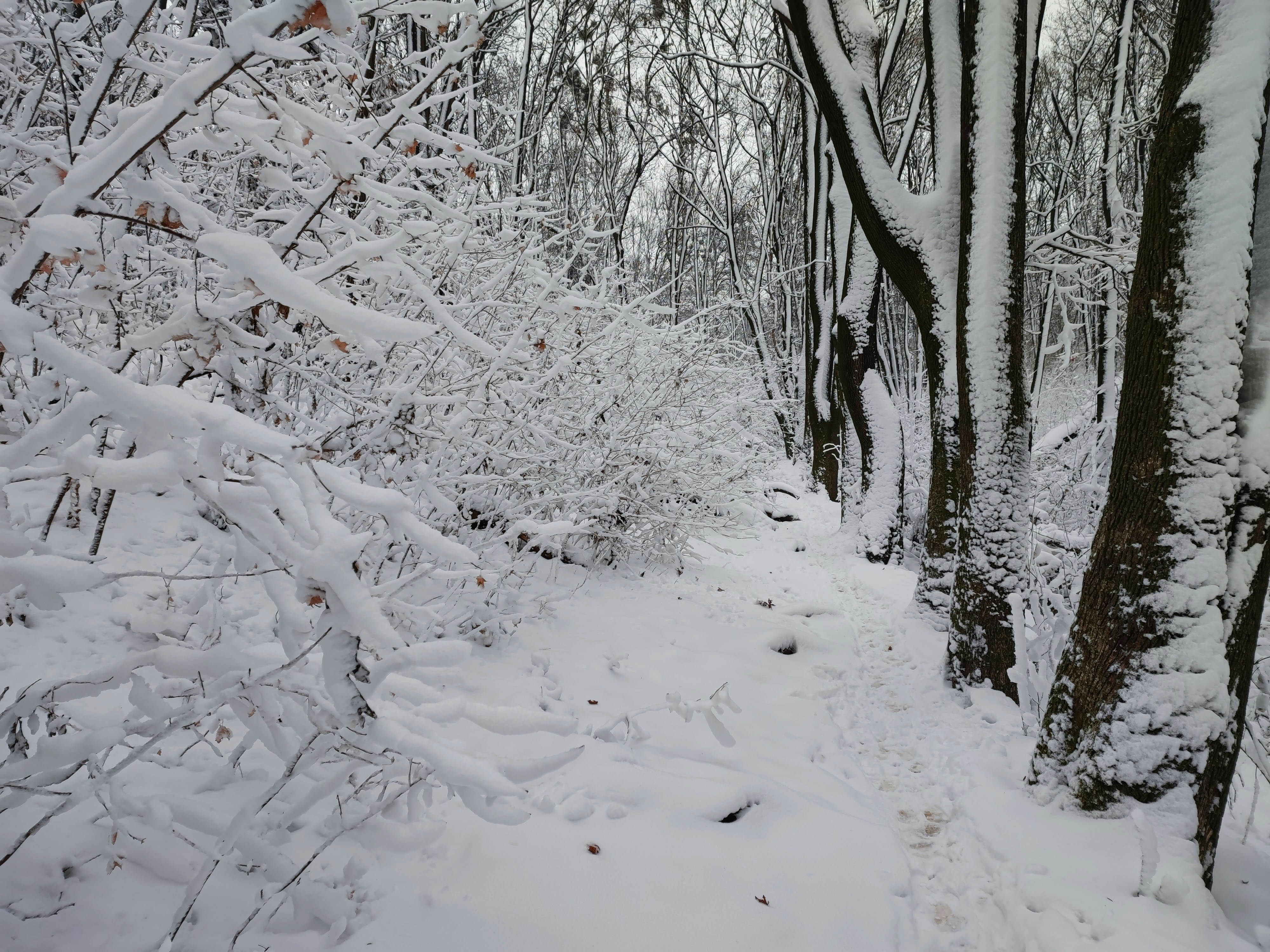 Photo by olesia_libra