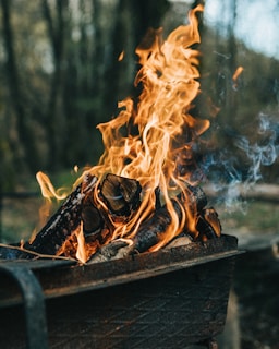 An outdoor fire pit filled with burning logs, producing bright, lively flames. Smoke and sparks are visible as the fire consumes the wooden logs. The background consists of a blurred natural forest setting.