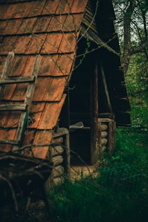 an old wooden cabin in the woods