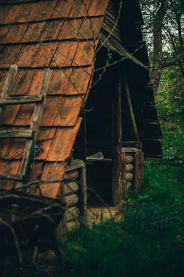 an old wooden cabin in the woods