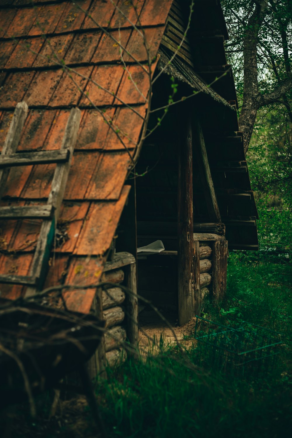 an old wooden cabin in the woods