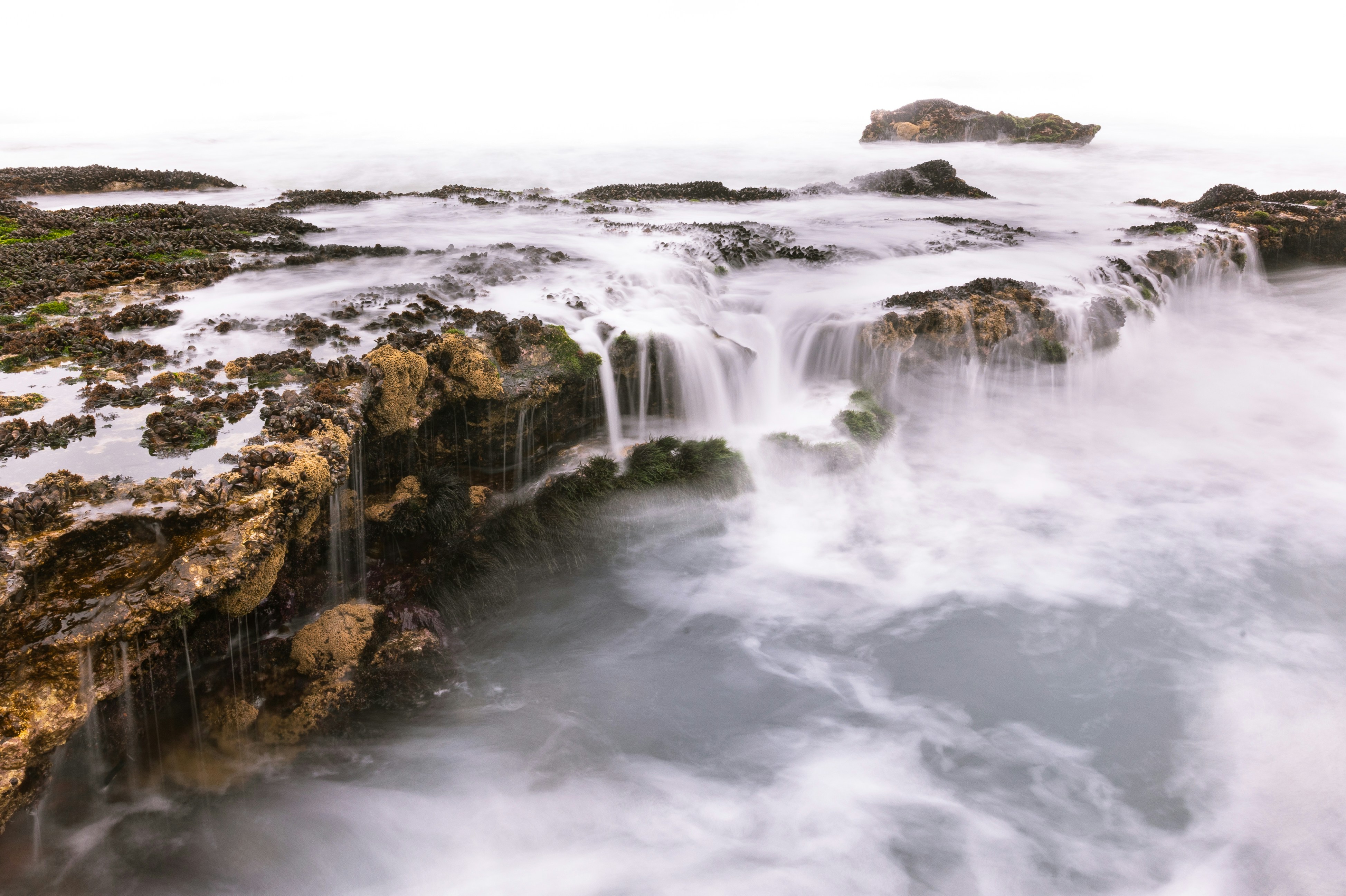 Photo by charl_durand