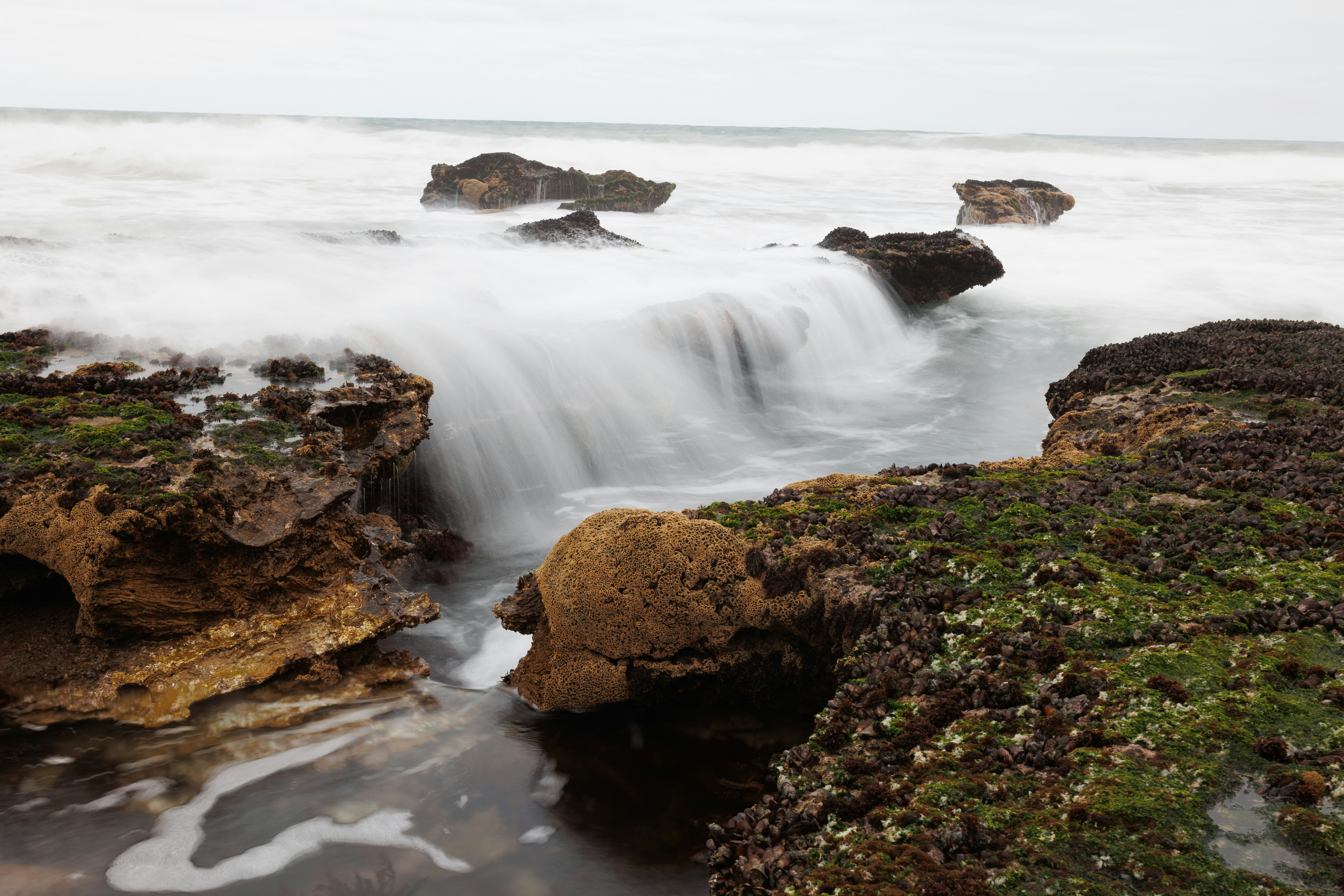 Photo by charl_durand