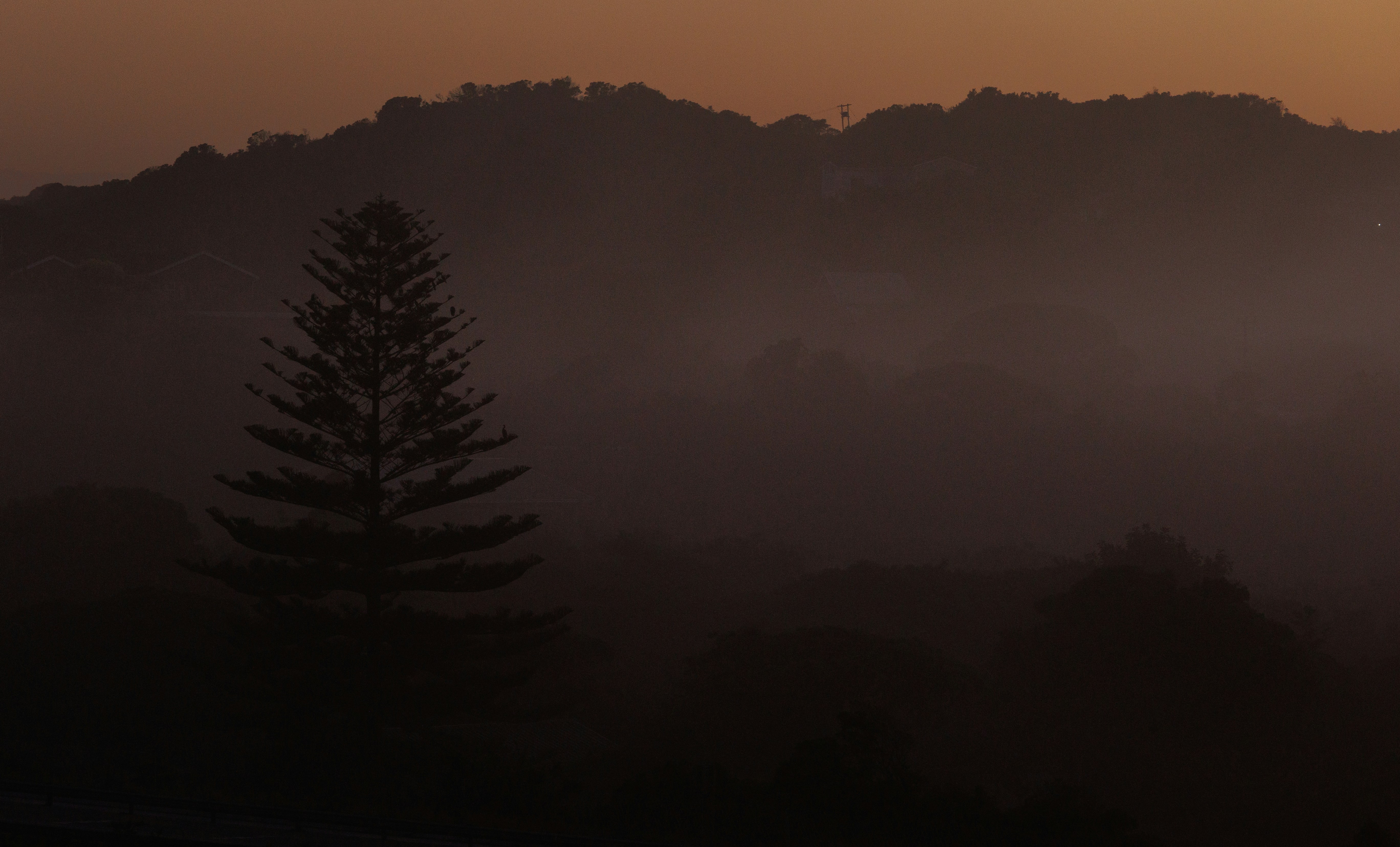 Photo by charl_durand