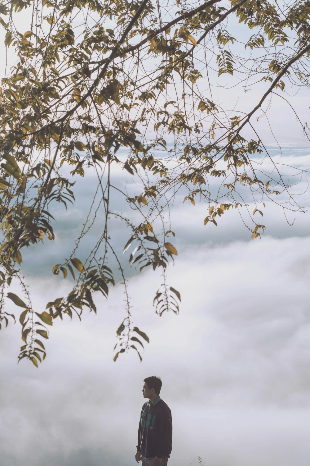 a man standing on top of a hill next to a tree