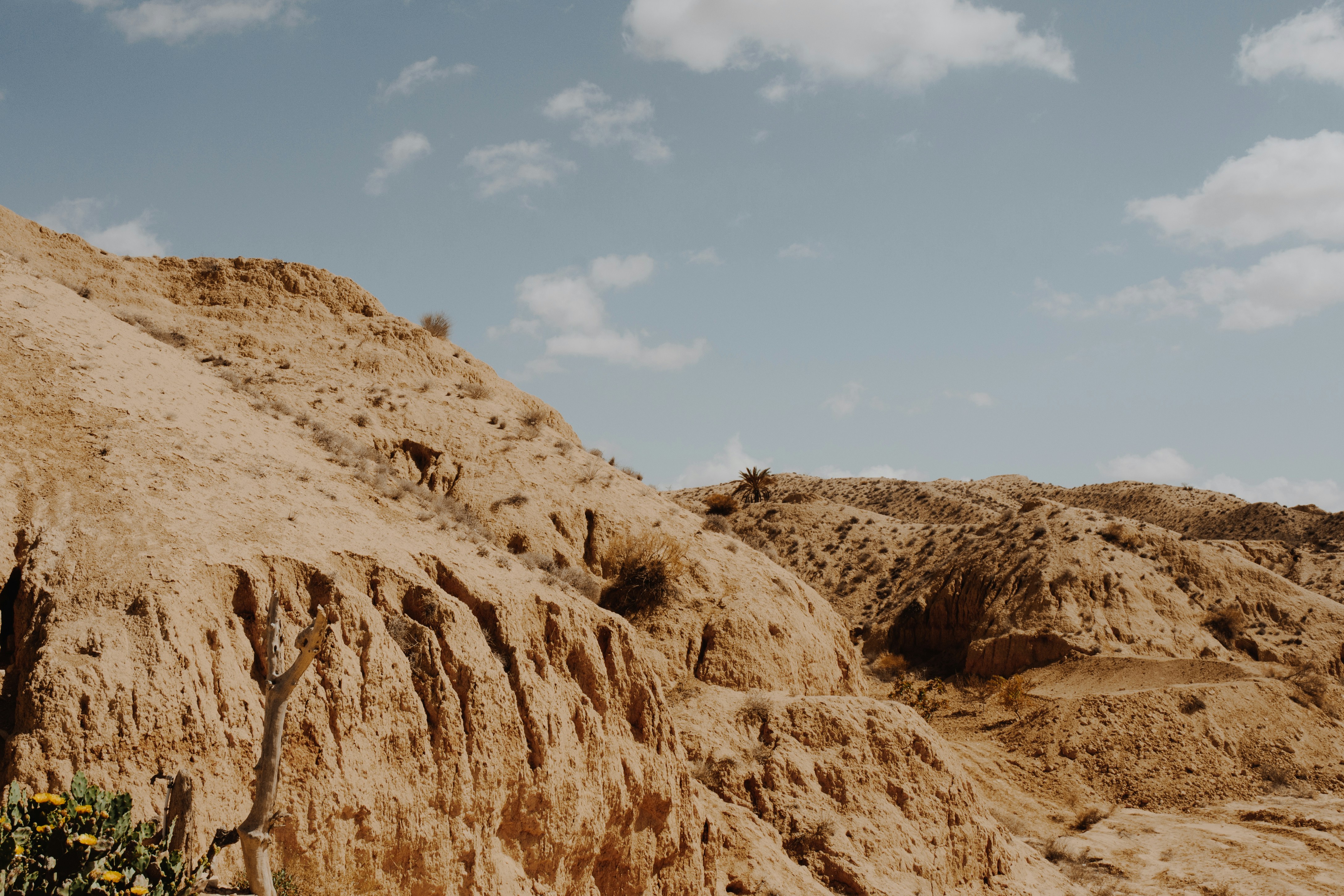 Photo by emilie_does_photography