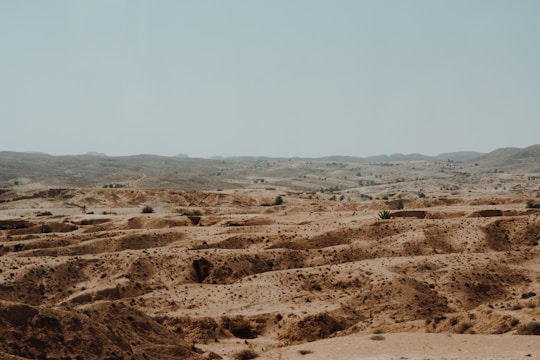 a dirt field with a few trees in the distance