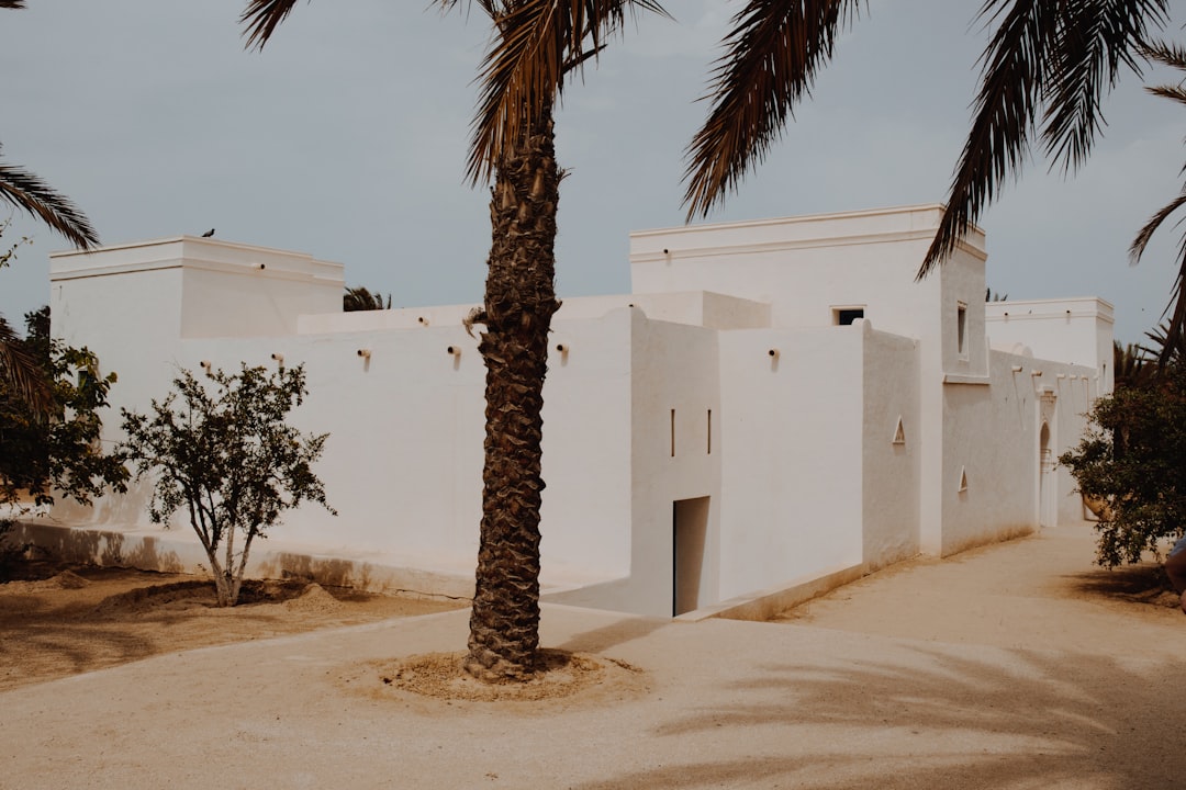 a white building with a palm tree in front of it,