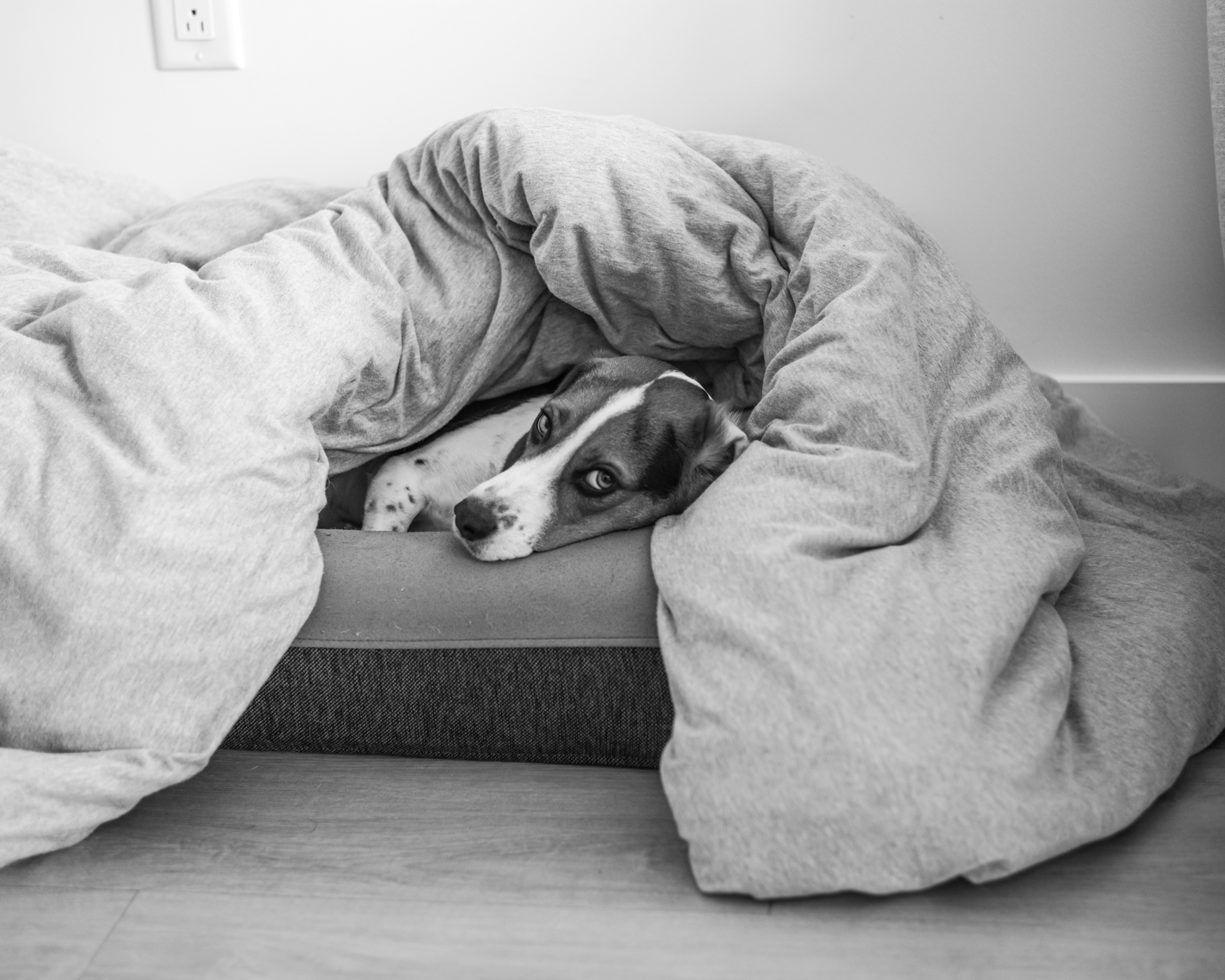 Photo by tylerfarmer