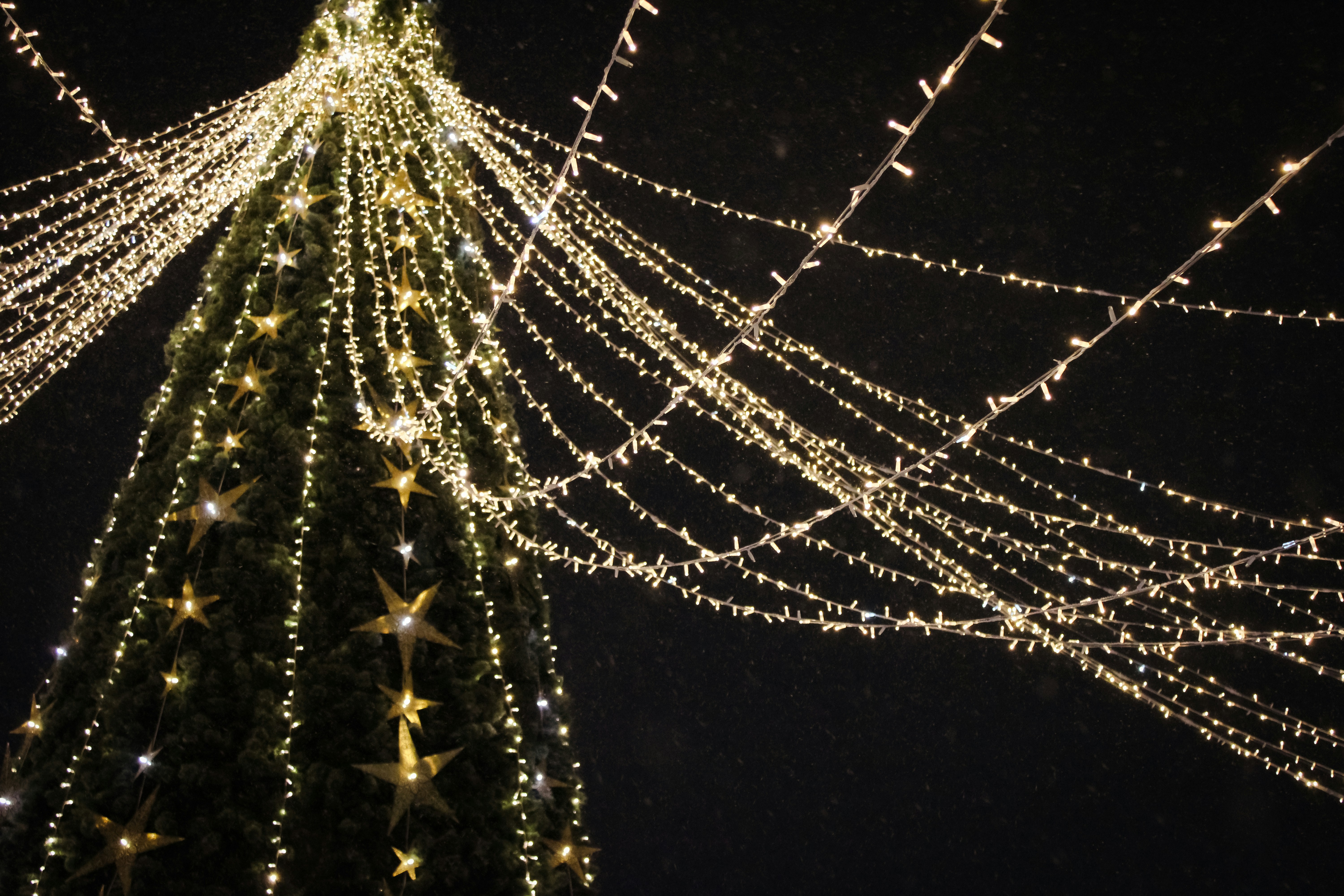 Photo by slenderamigo