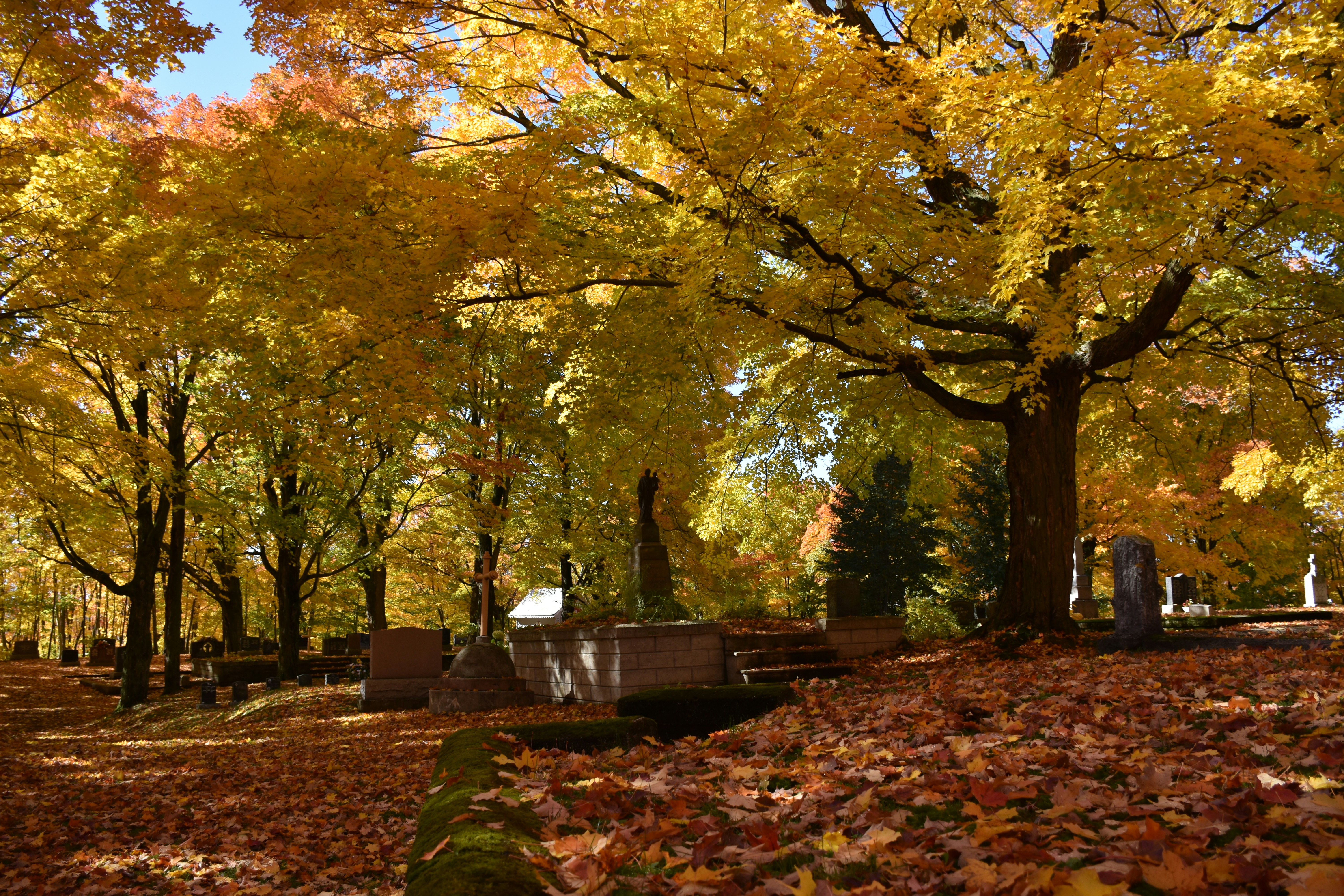 Un cimetière à l'automne avec des feuilles au sol photo – Image gratuite de  Automne sur Unsplash, image size:3000x2000