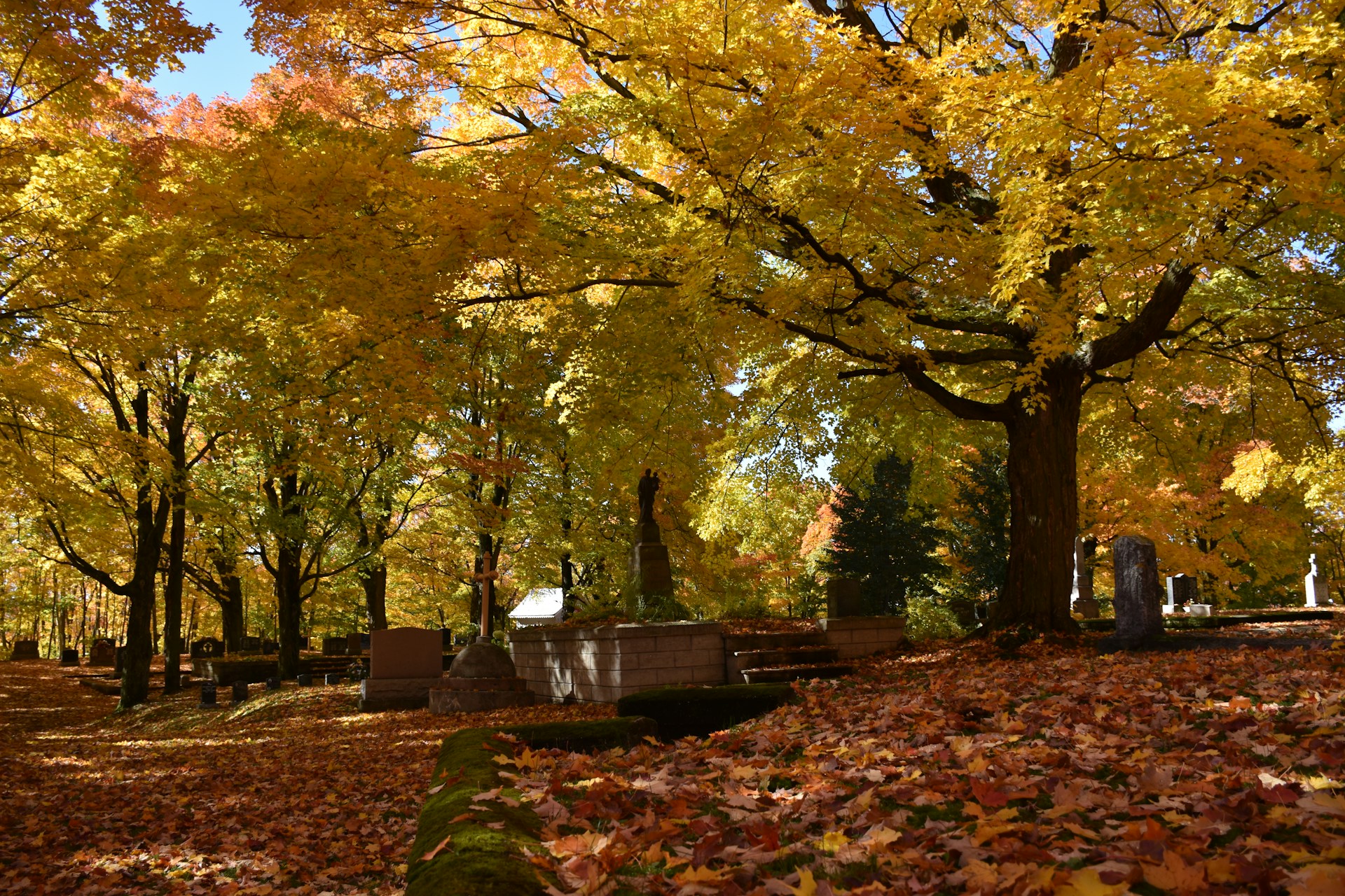 a cemetery in the fall with leaves on the ground