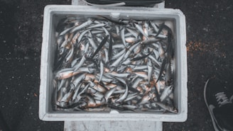 A warehouse filled with frozen seafood.