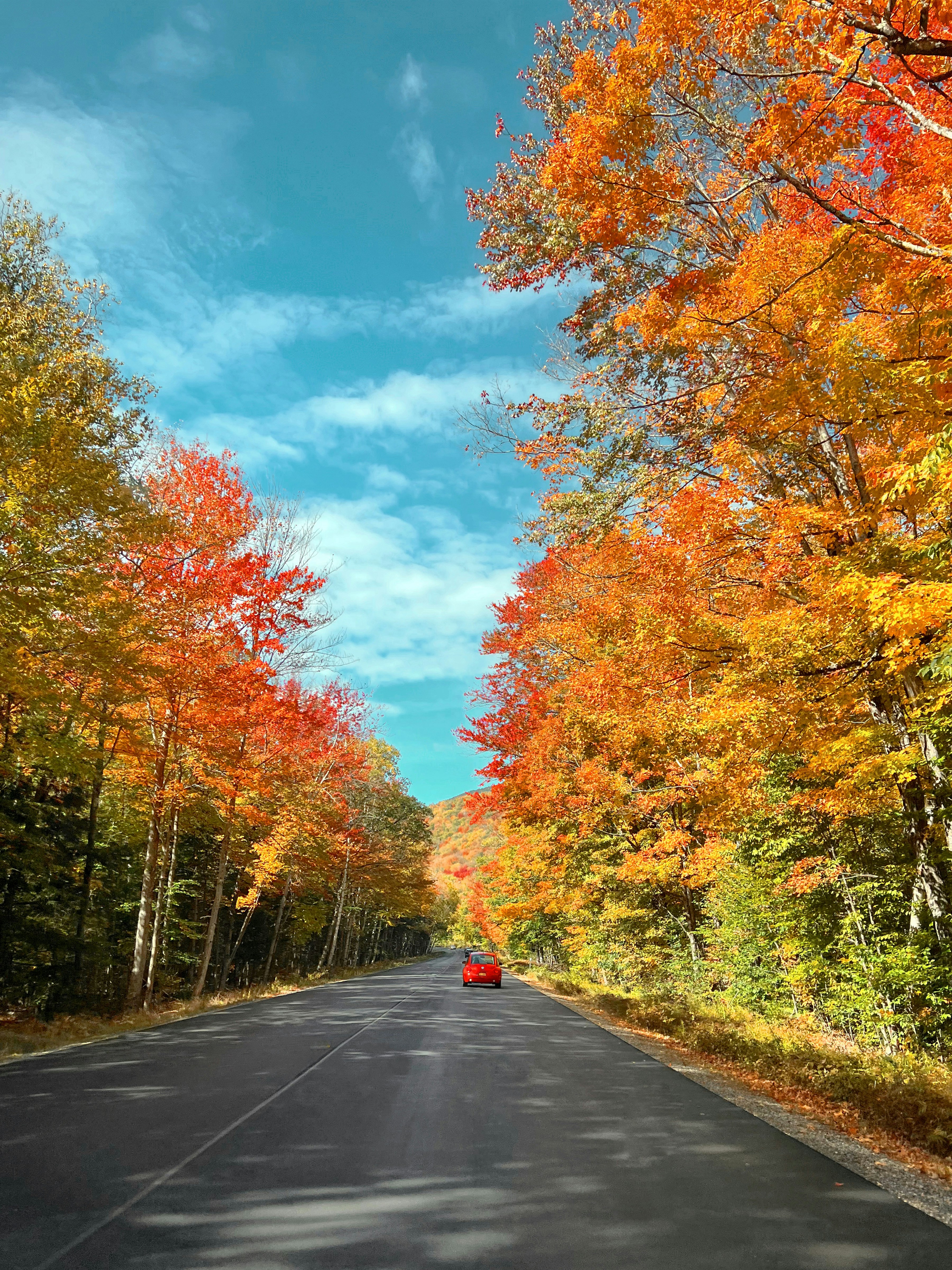 Photo by luisaurajesmin