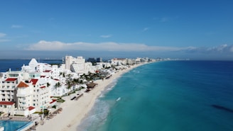 an aerial view of a beach and a city
