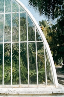 Glass panels form part of a greenhouse structure, enclosing lush green plants with intricate leaves. Trees and greenery are visible in the background, partially framed by the curved roof of the greenhouse.