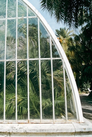 Glass panels form part of a greenhouse structure, enclosing lush green plants with intricate leaves. Trees and greenery are visible in the background, partially framed by the curved roof of the greenhouse.