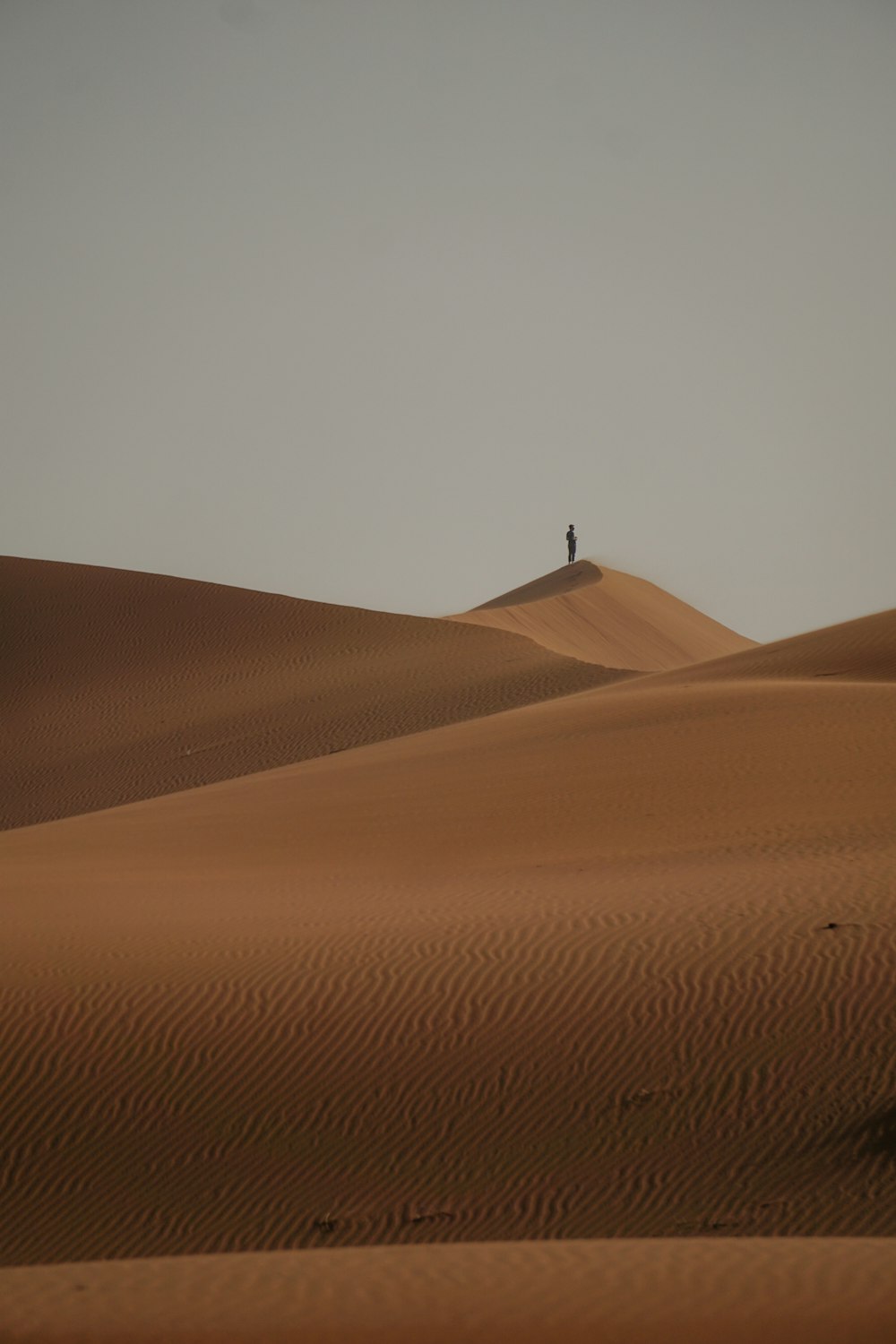 a lone person standing on top of a sand dune