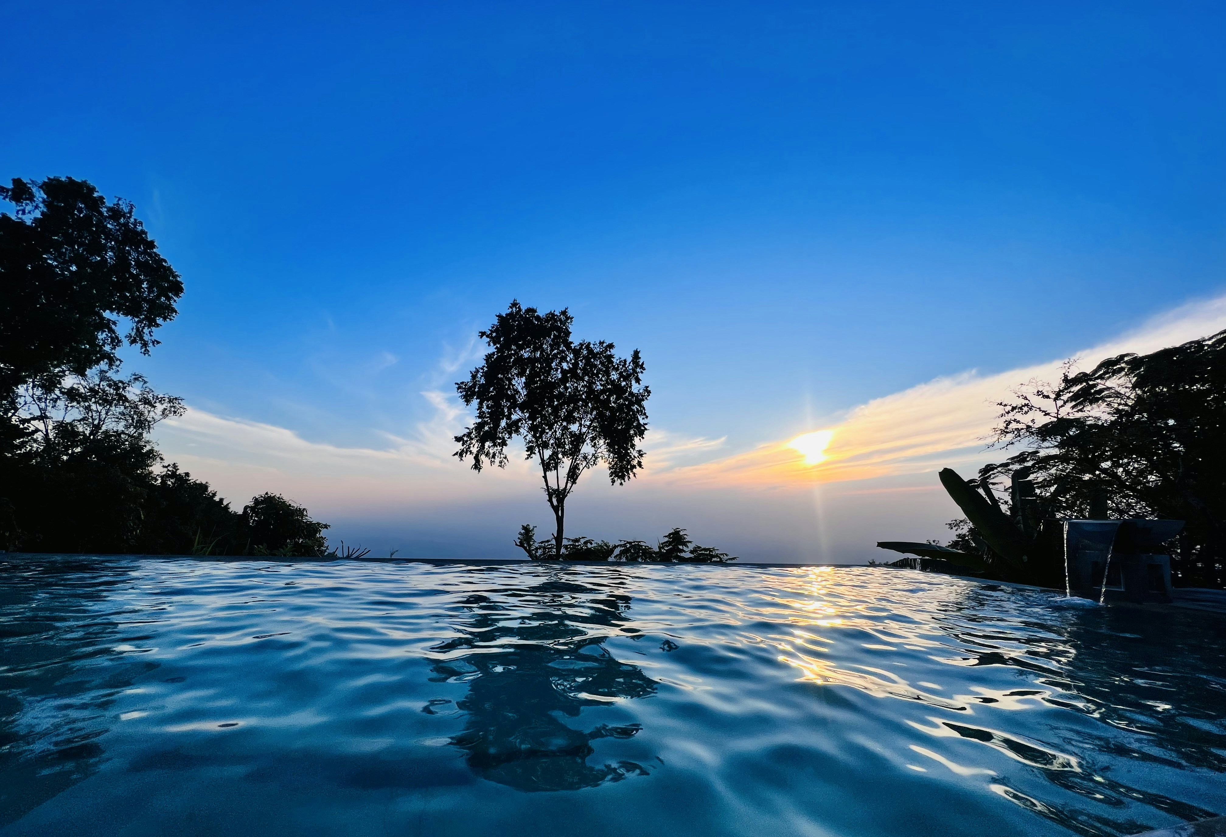 Photo by shamsuddinhabib