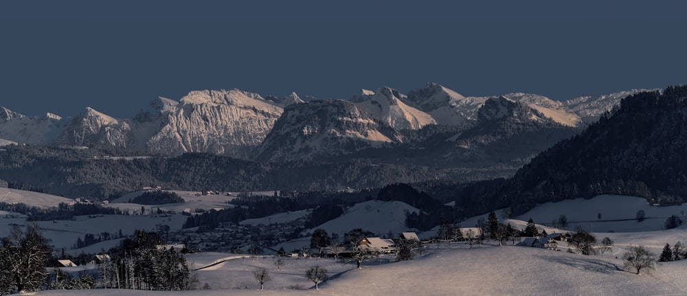 a snowy landscape with mountains in the background