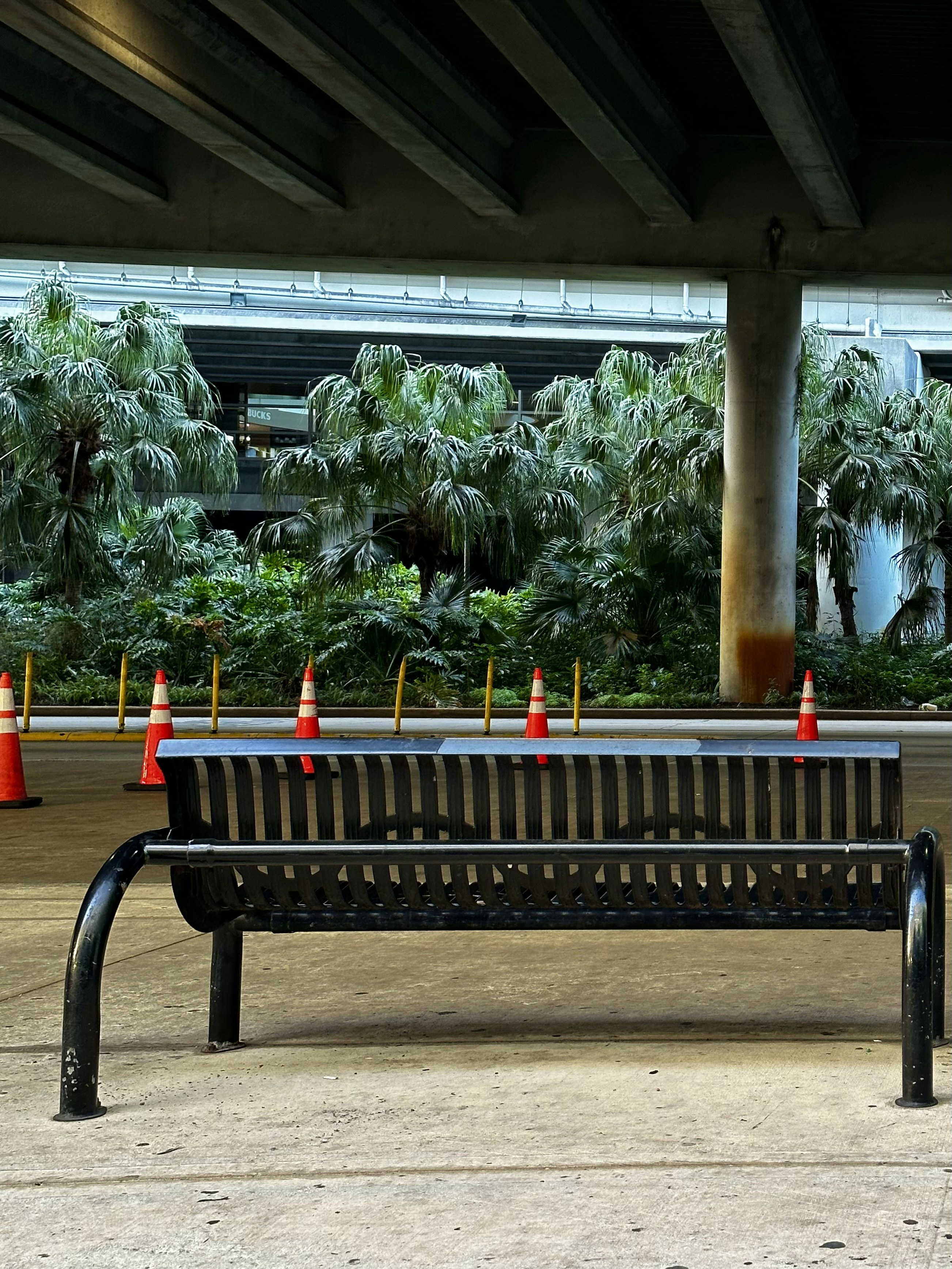 A park bench with orange cones on top of it photo – Free Furniture ...