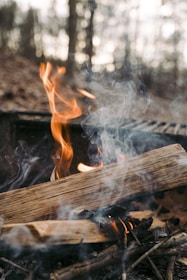 a fire in the middle of a forest