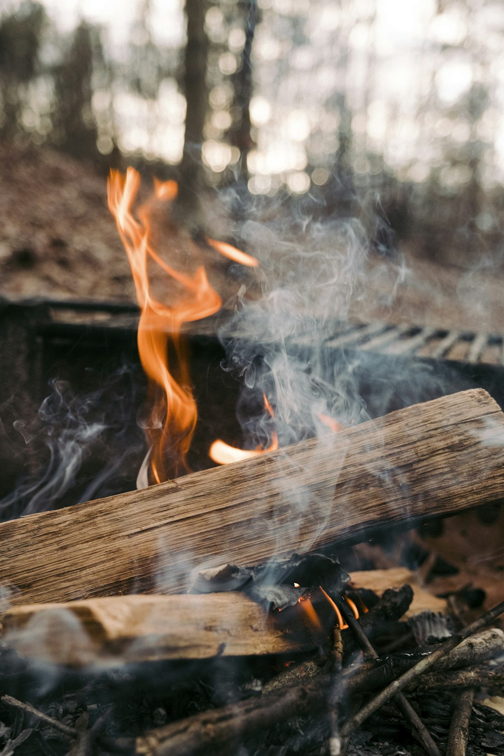 a fire in the middle of a forest