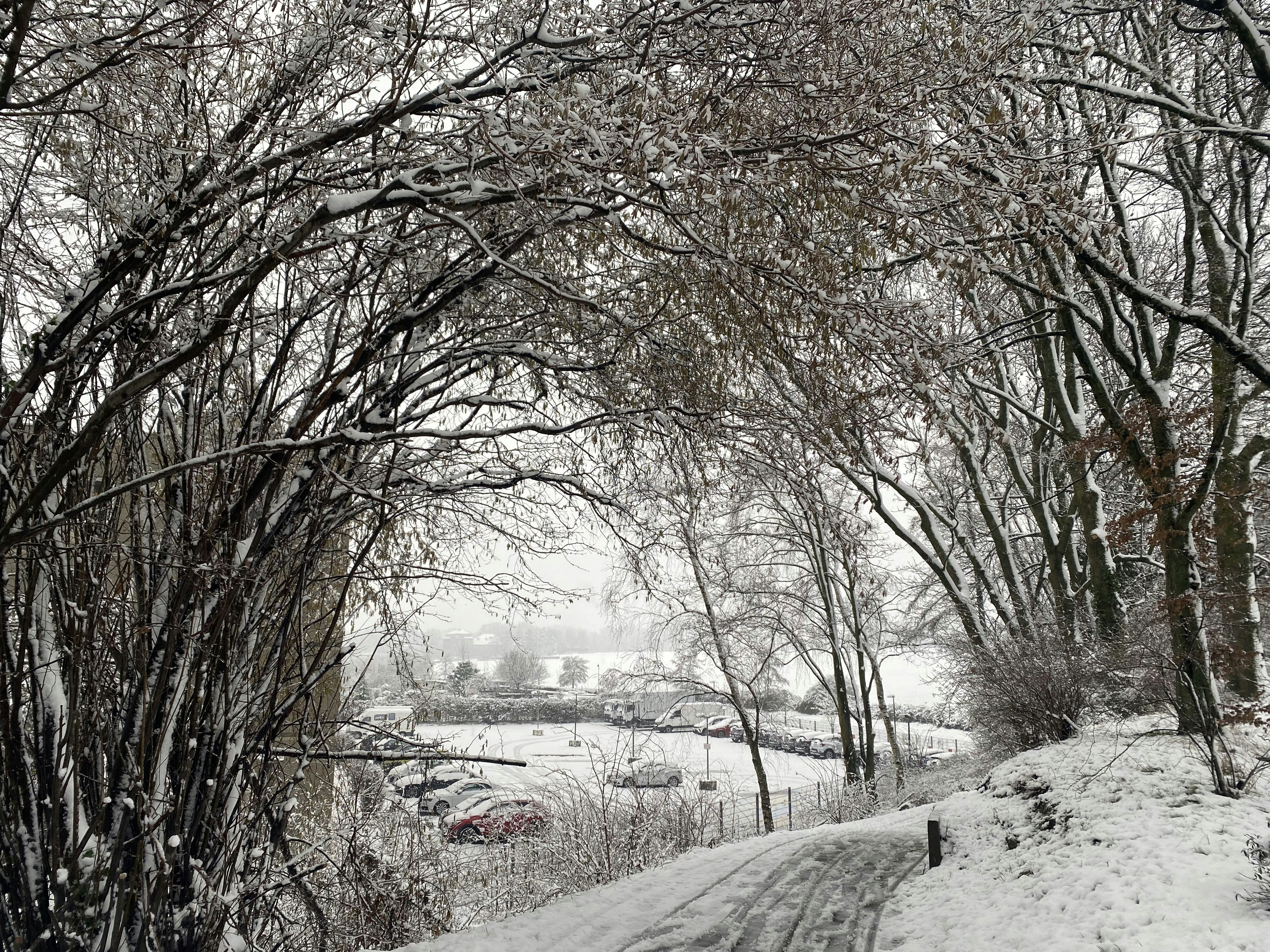 Python Meeting Düsseldorf – Januar 2026