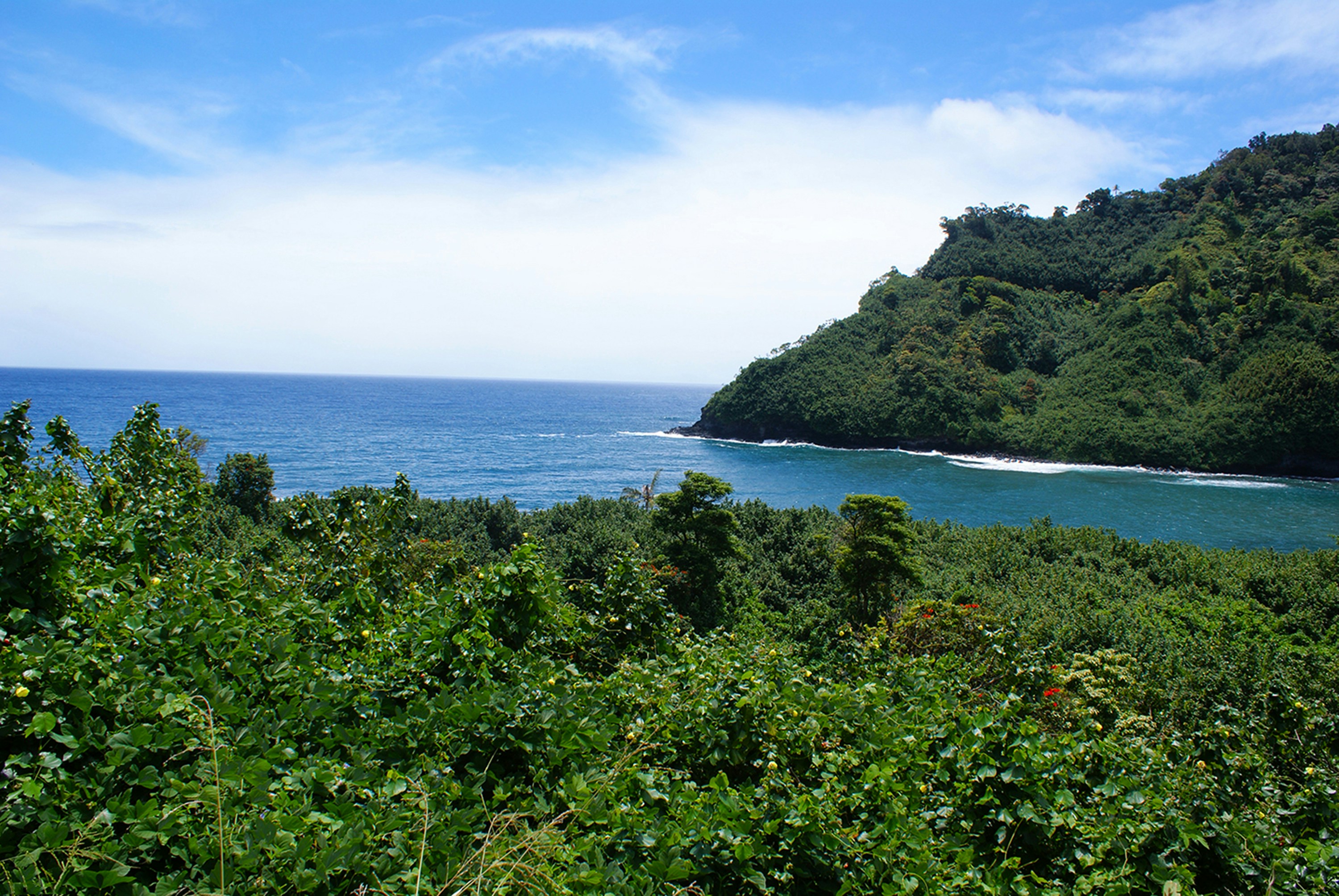 Photo by ricky_fresh