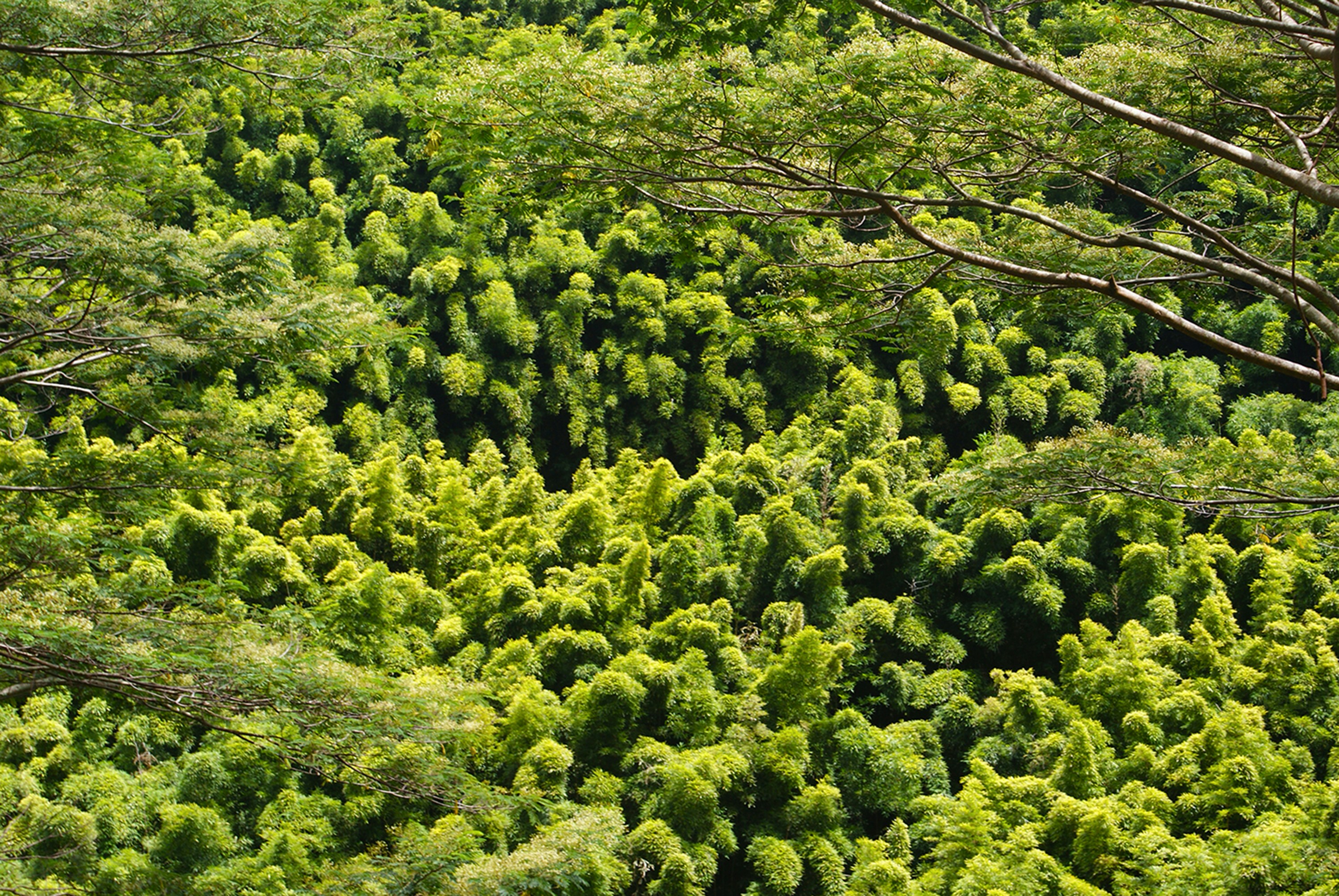 Photo by ricky_fresh