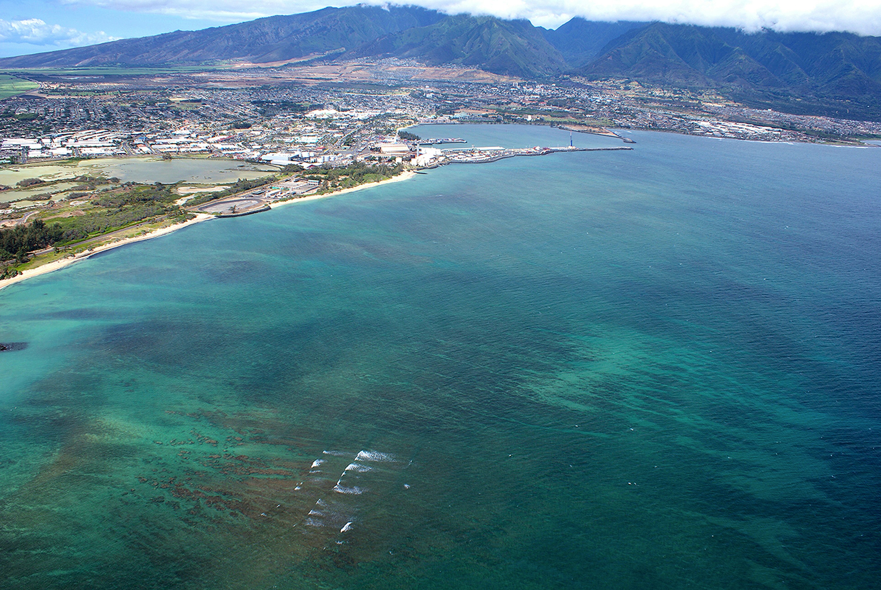 an aerial view of a beach and ocean