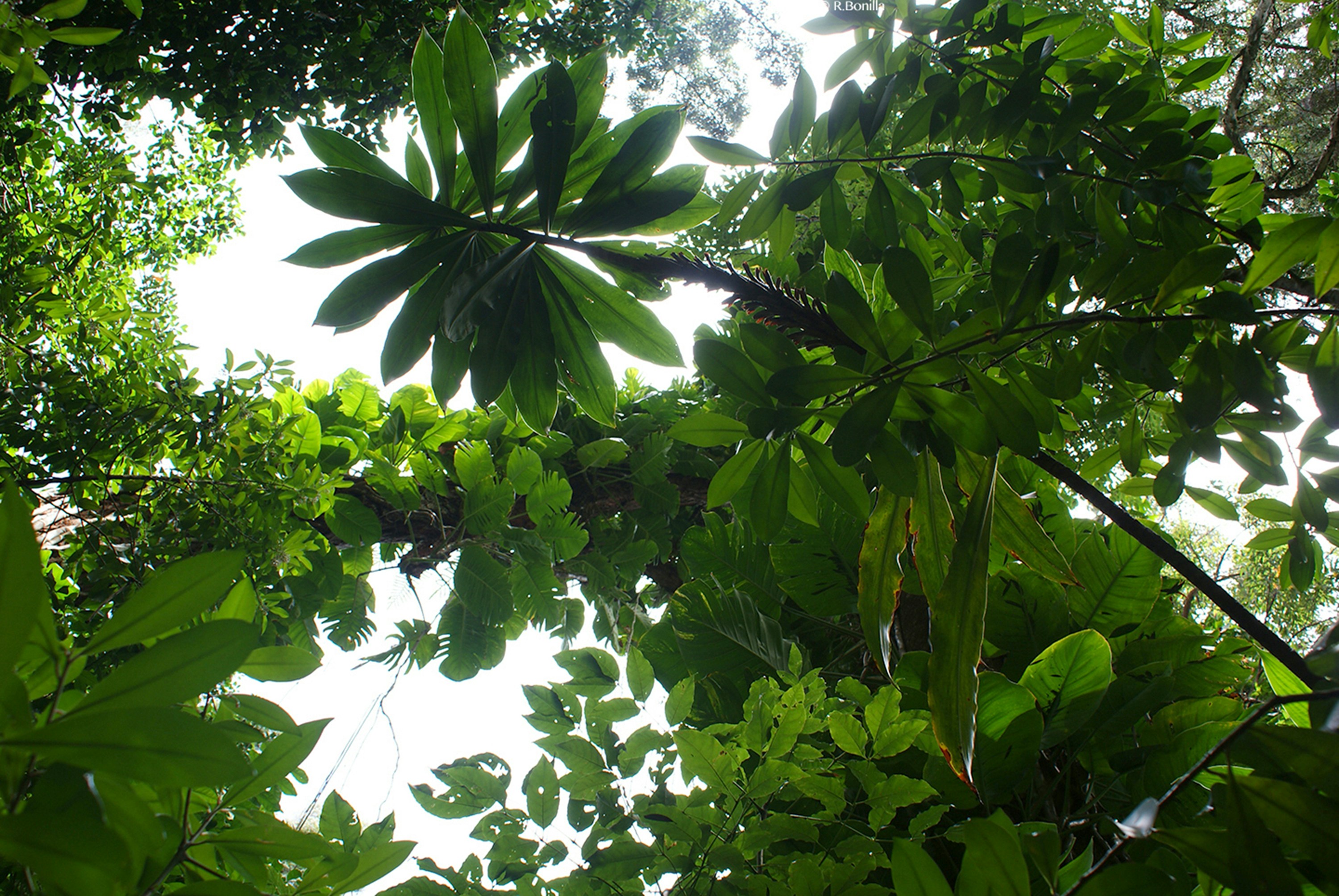 Photo by ricky_fresh