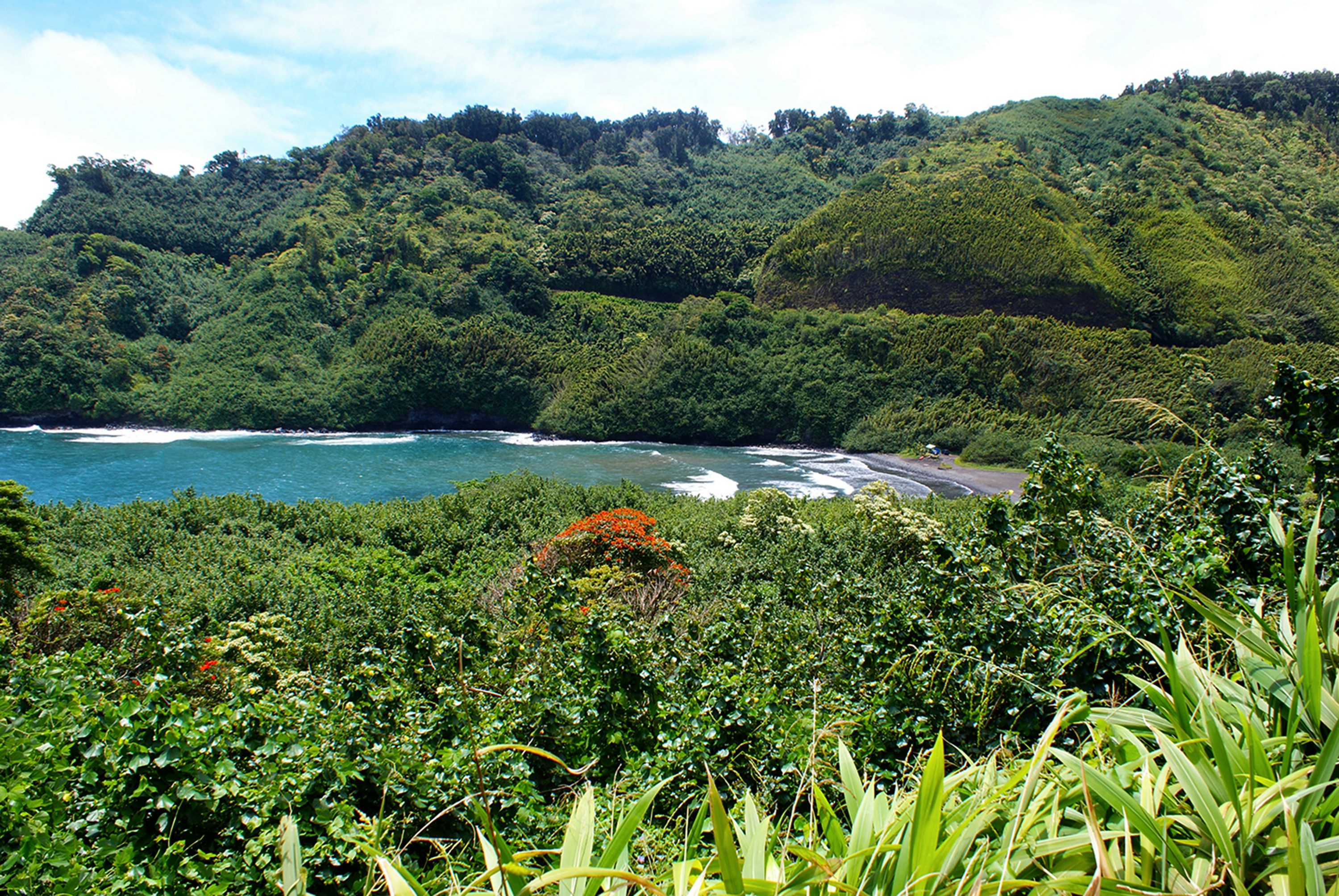 Photo by ricky_fresh