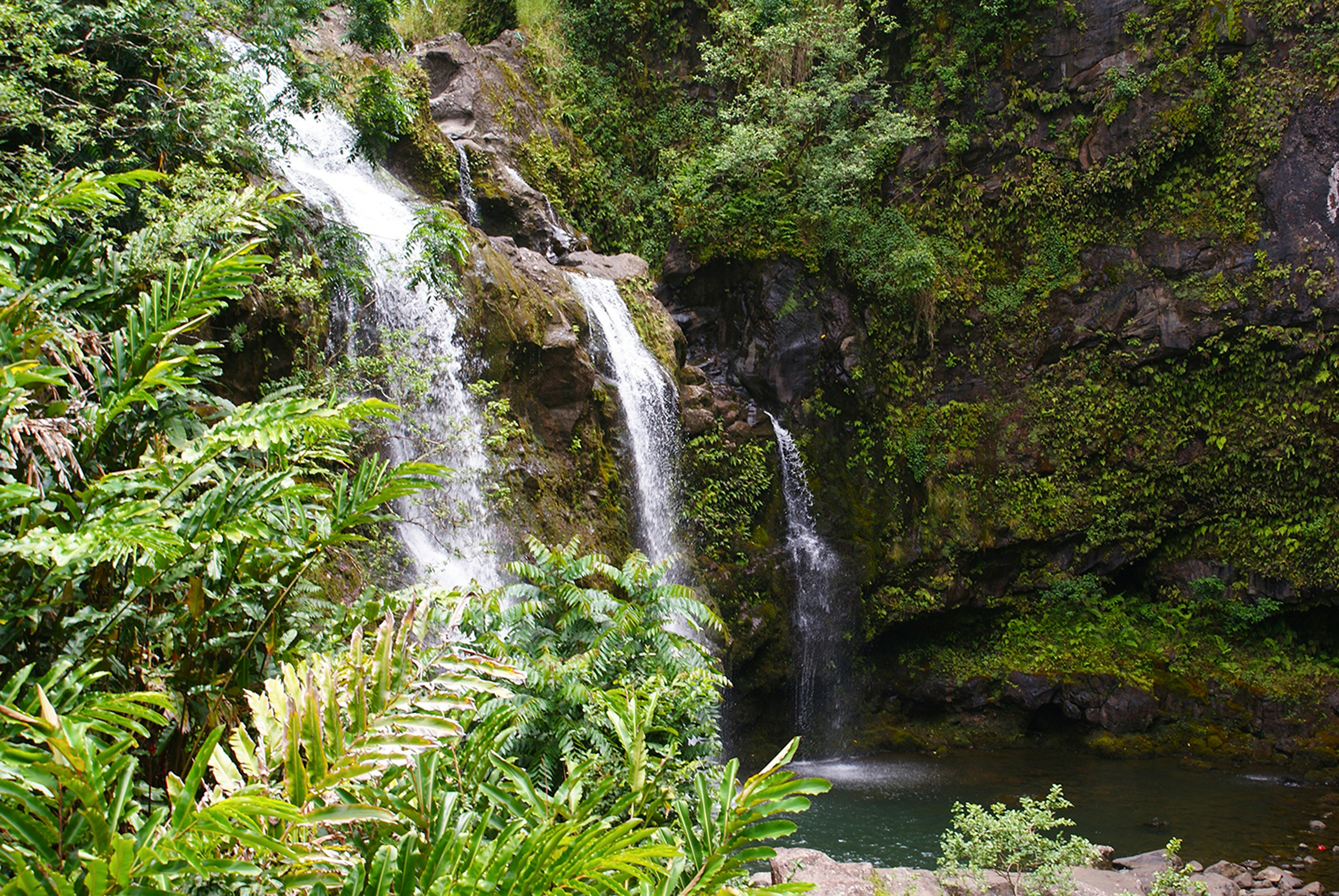 Photo by ricky_fresh