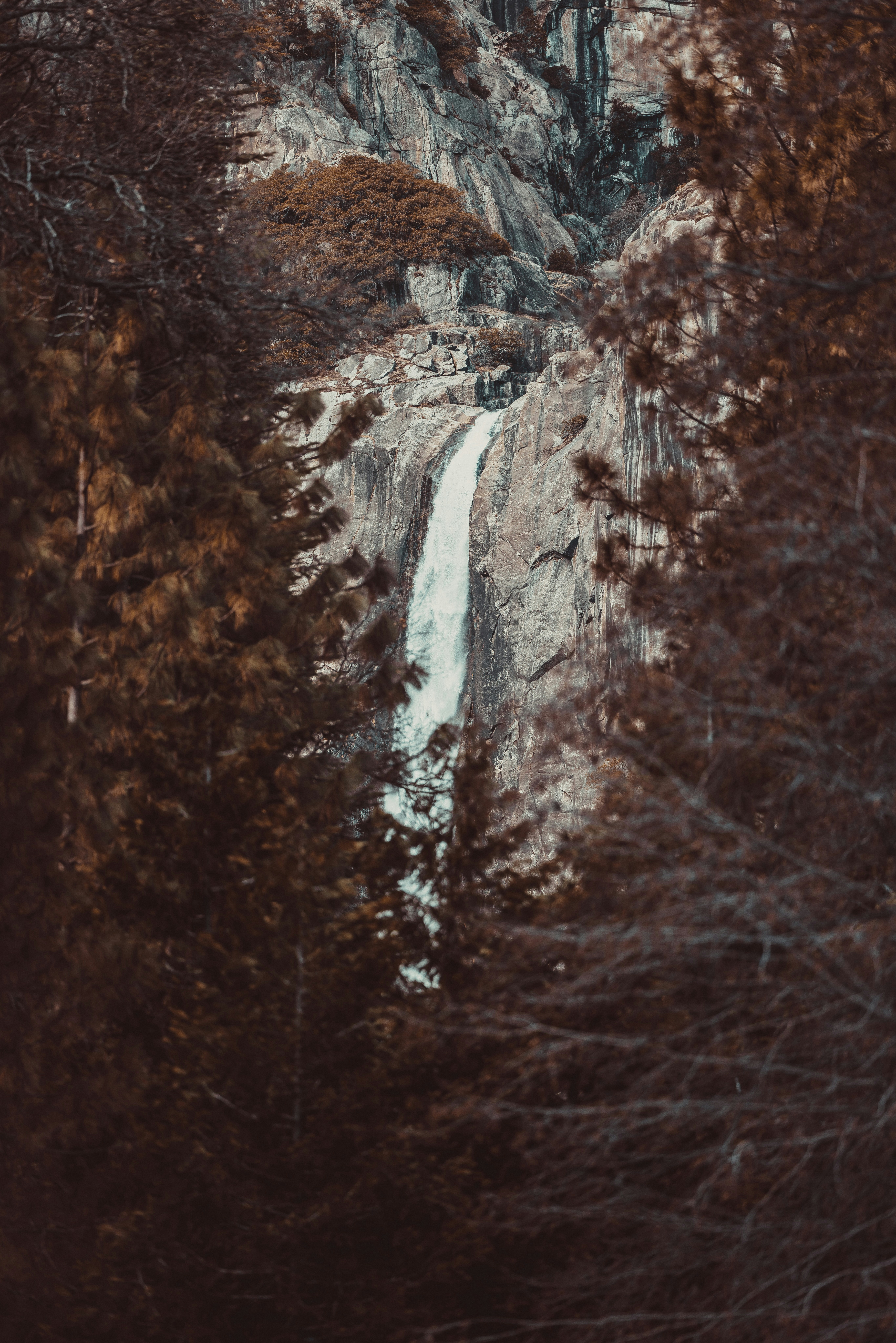 a waterfall in the middle of a forest