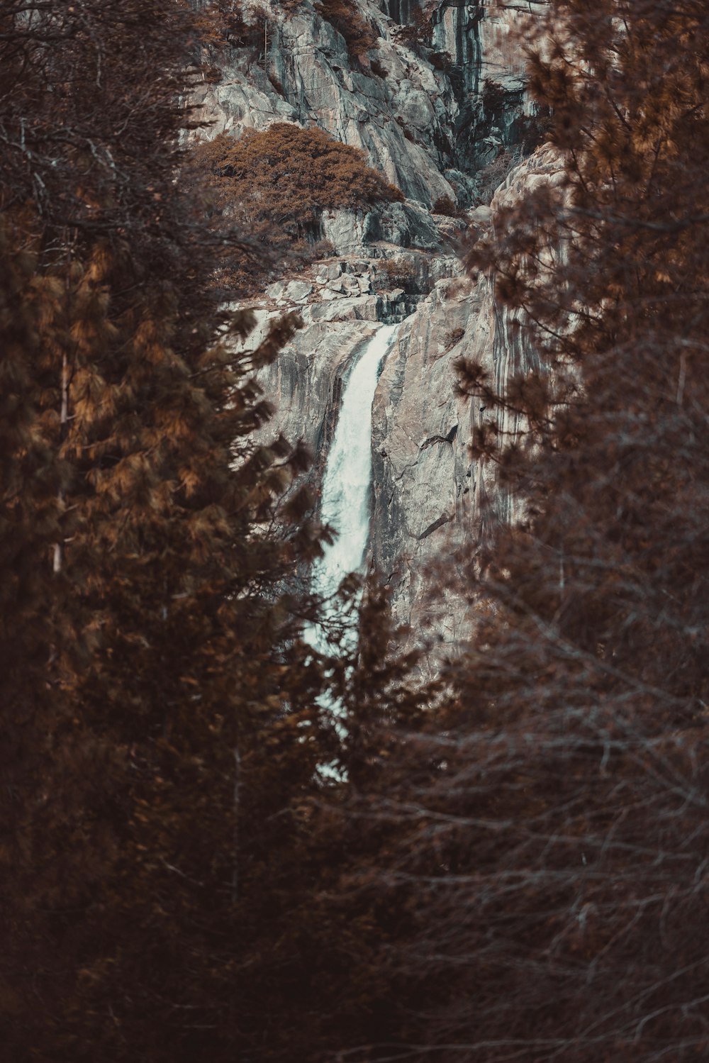 a waterfall in the middle of a forest