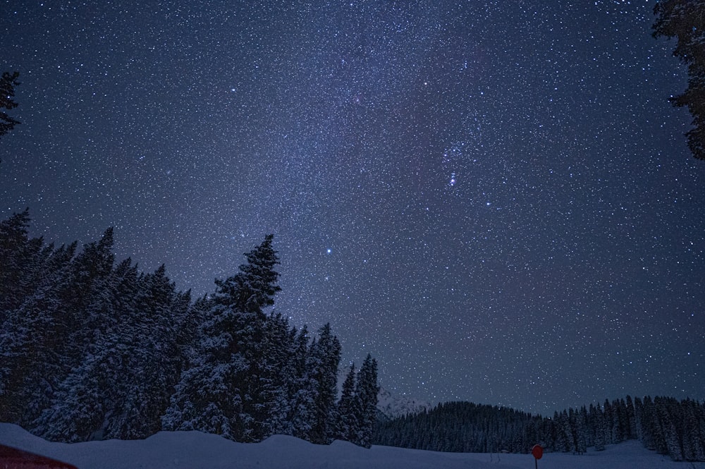 a person standing in the snow under a night sky filled with stars