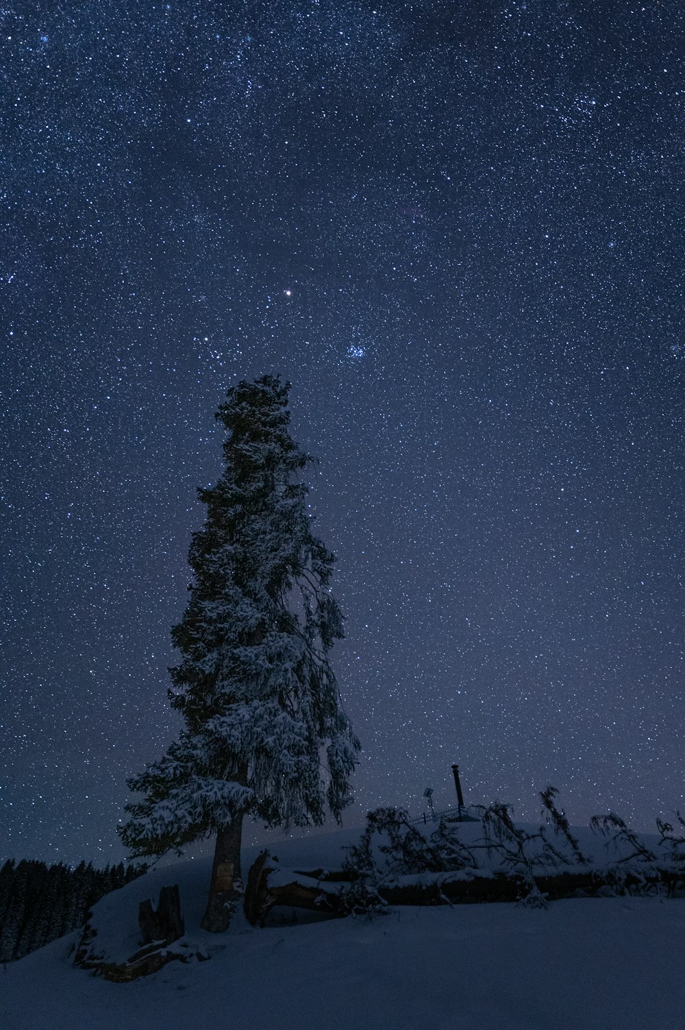 the night sky with stars above a snow covered tree