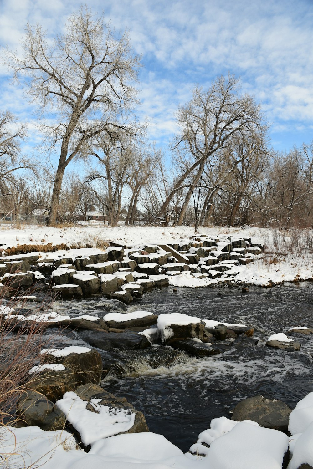 a river running through a snow covered forest