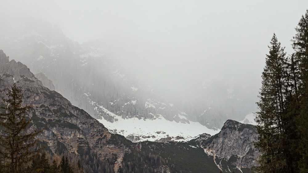 a mountain covered in snow and surrounded by trees