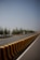 A two-lane road is bordered by a long concrete barrier painted with alternating black and yellow stripes. On the left side of the road, there is a row of green trees under a clear blue sky.