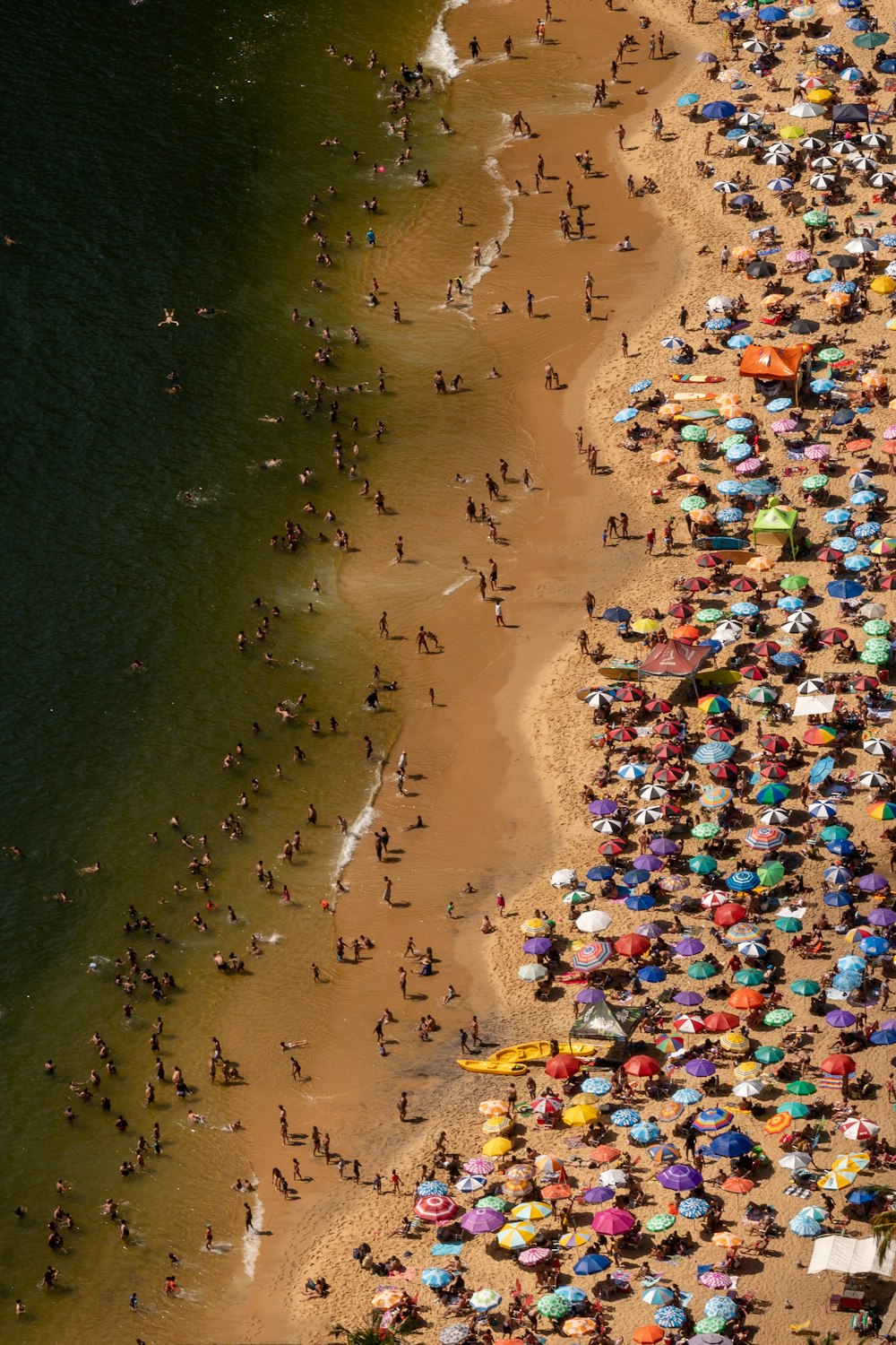 a crowd of people standing on top of a sandy beach