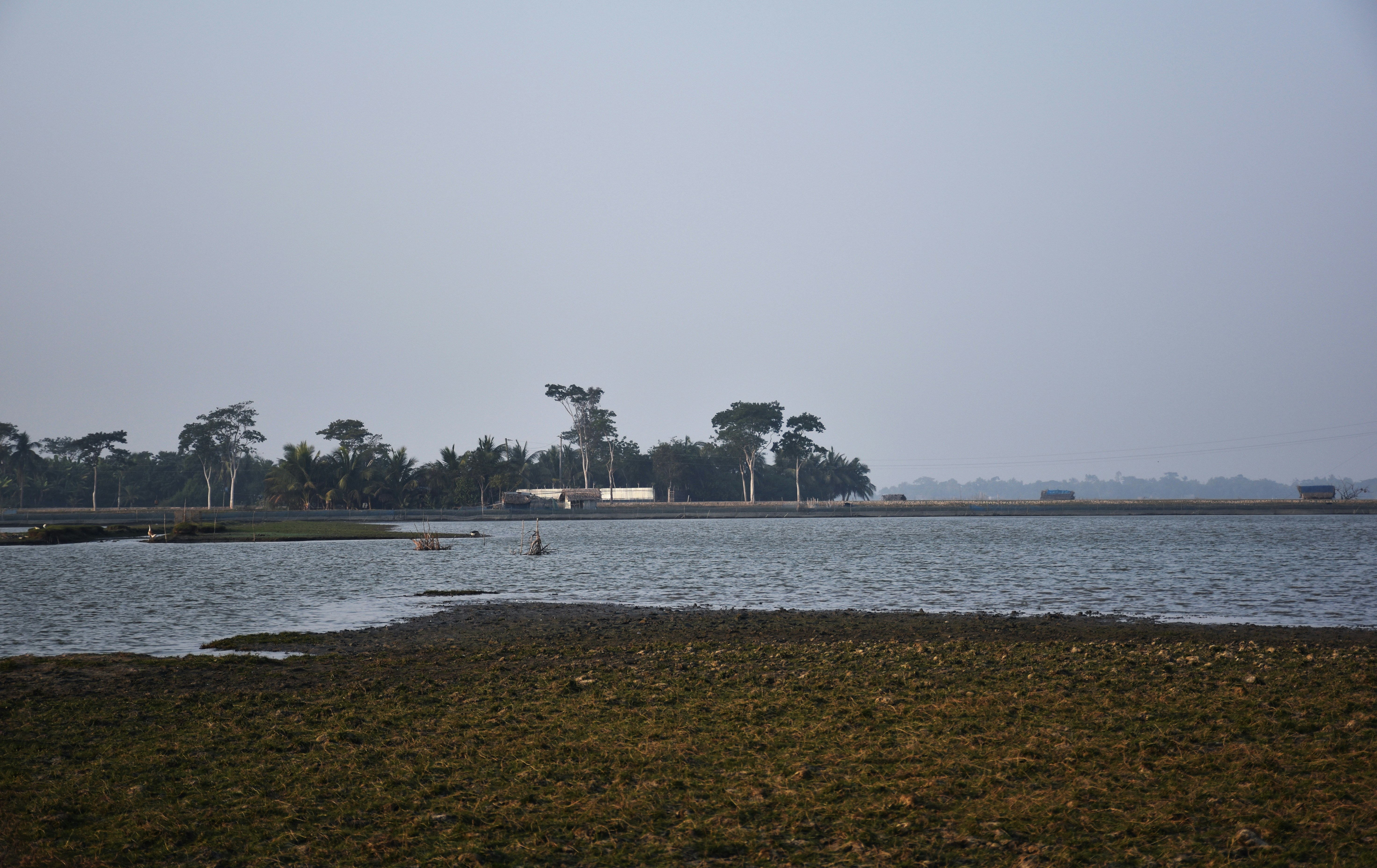 Sundarban Adventure