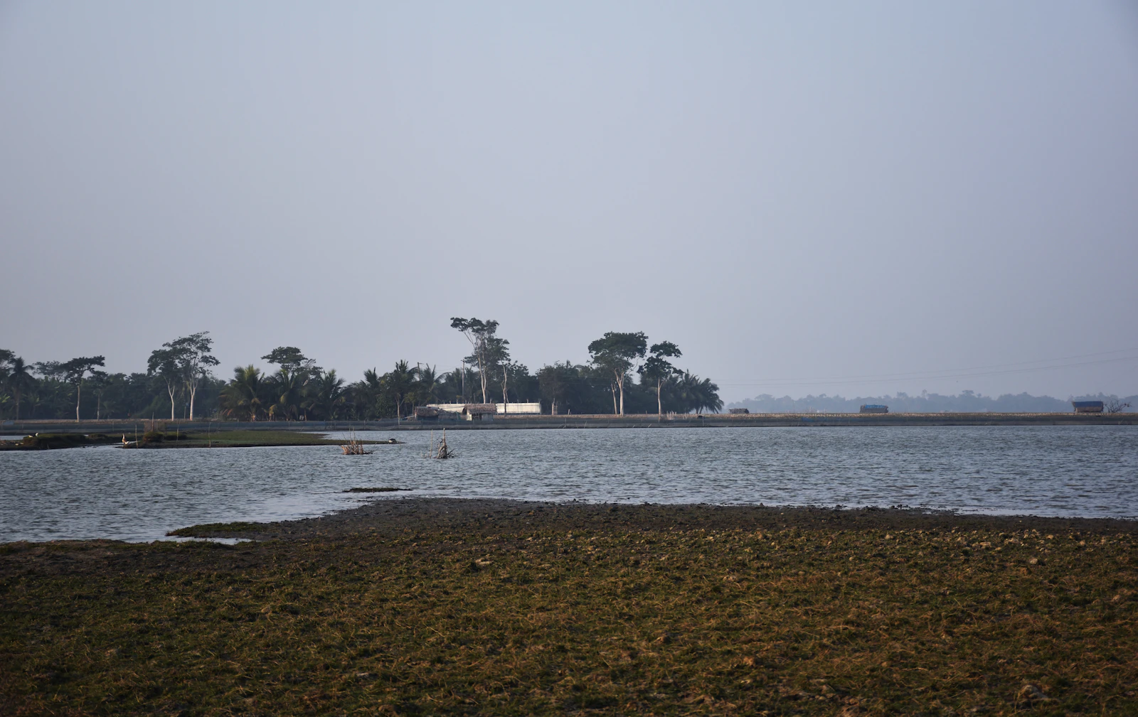 Best Time to Visit Sundarban