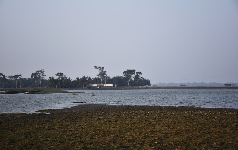 a body of water surrounded by trees and grass