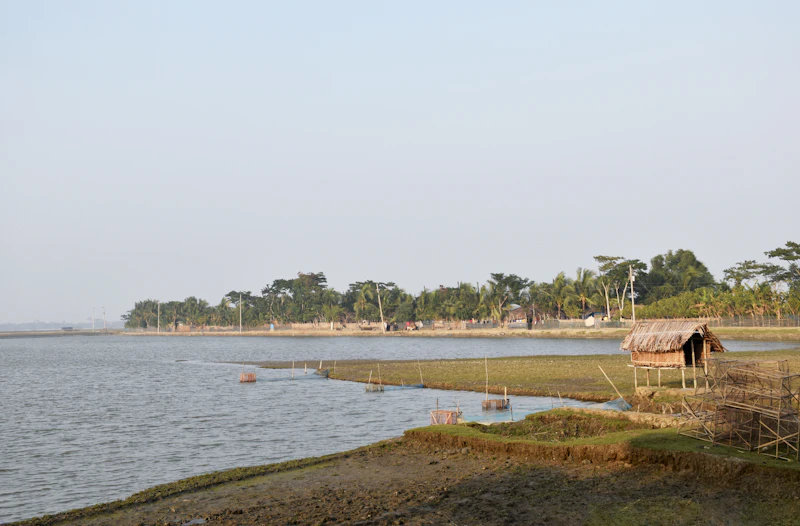 Best Coffee Shops in Dahanu: A Local's Guide to Every Great Cup
