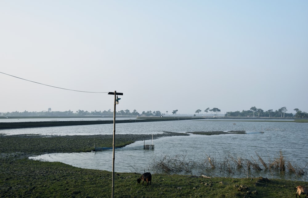 un plan d’eau avec un poteau téléphonique au premier plan