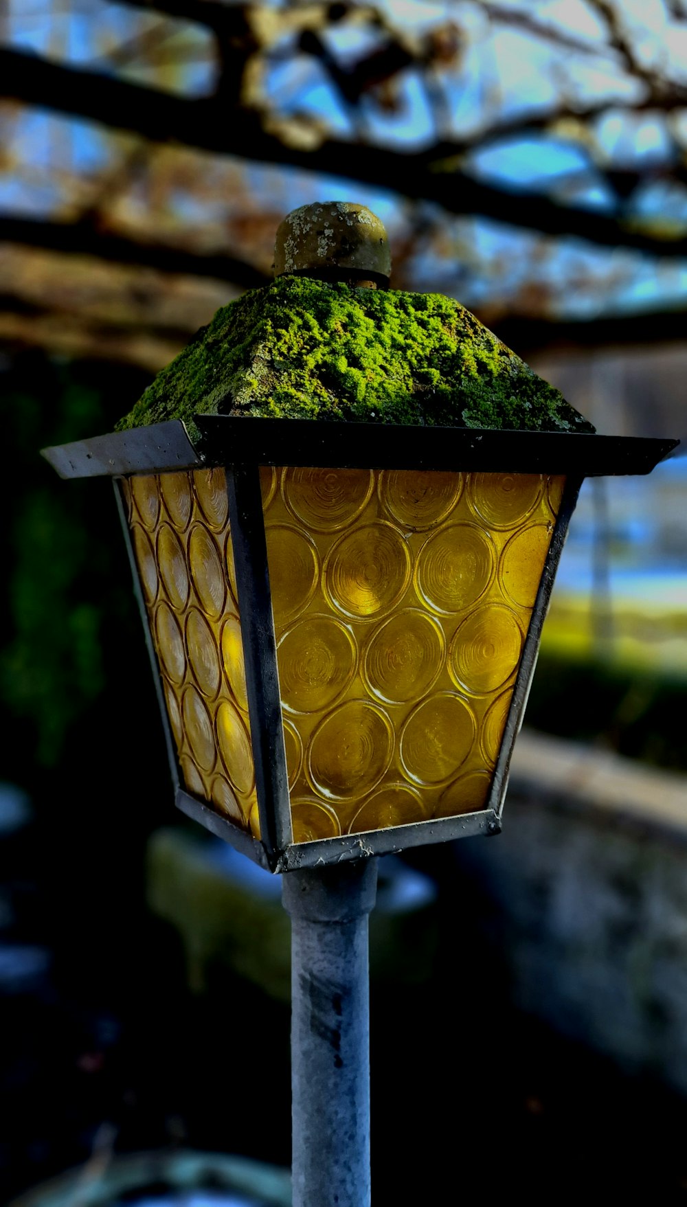 a yellow lamp with moss growing on top of it