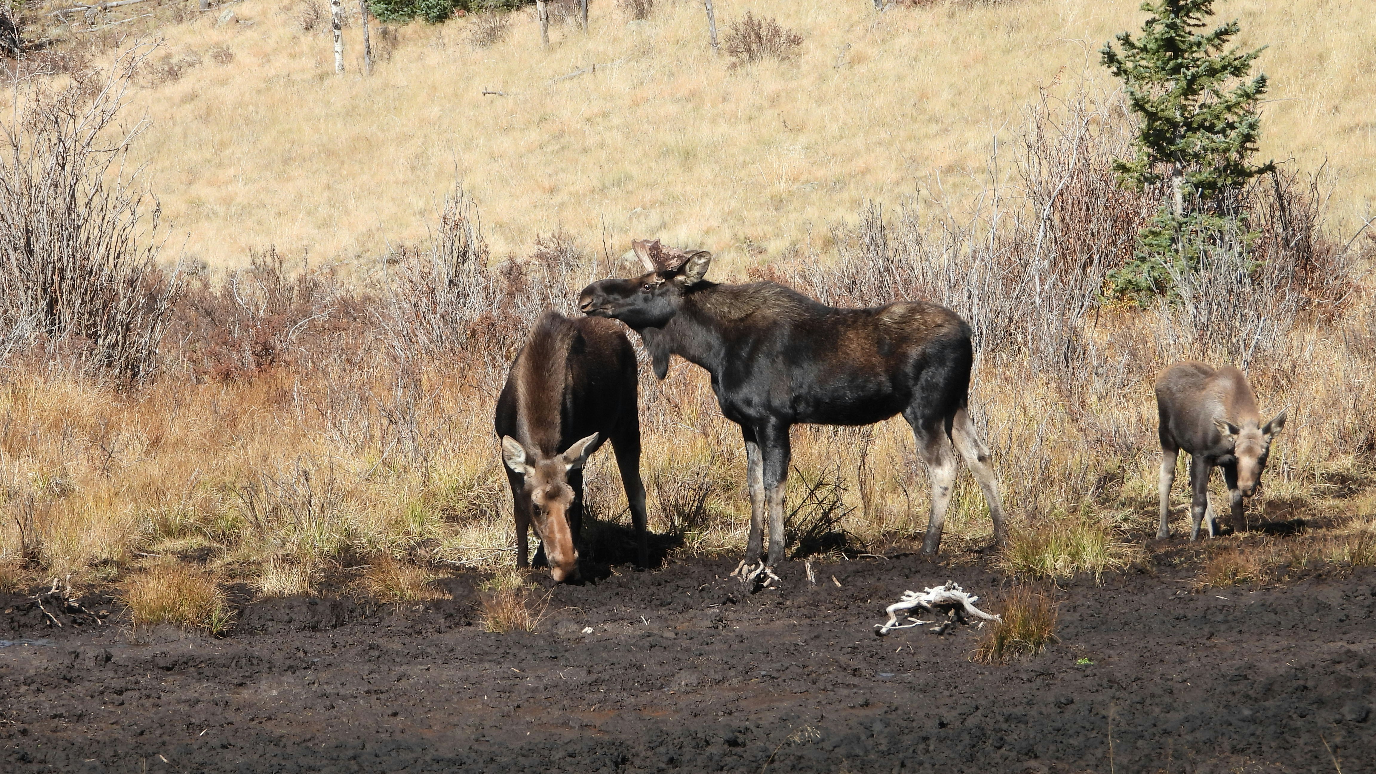 Photo by evergreene24