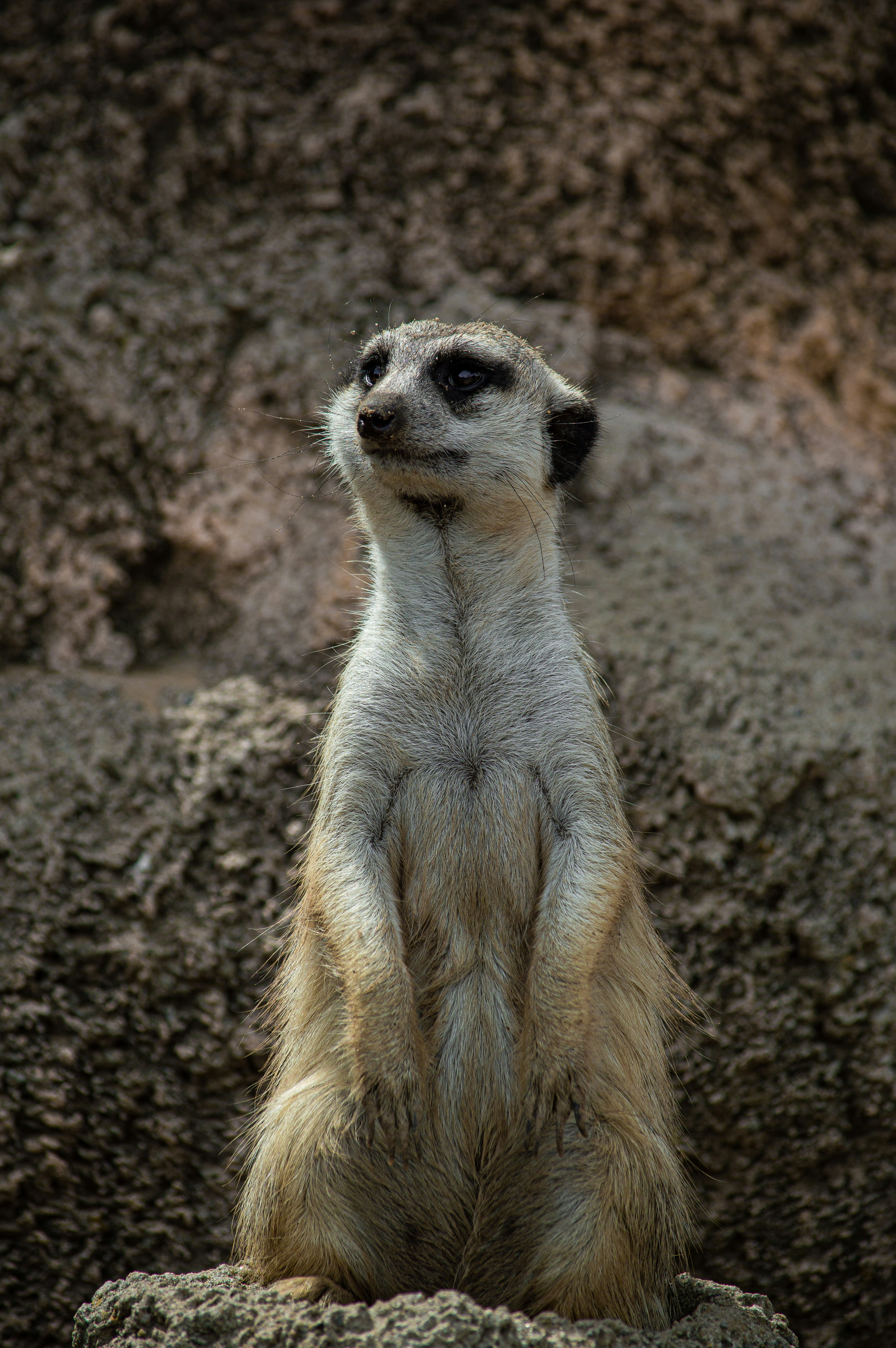 Photo by orietulain_